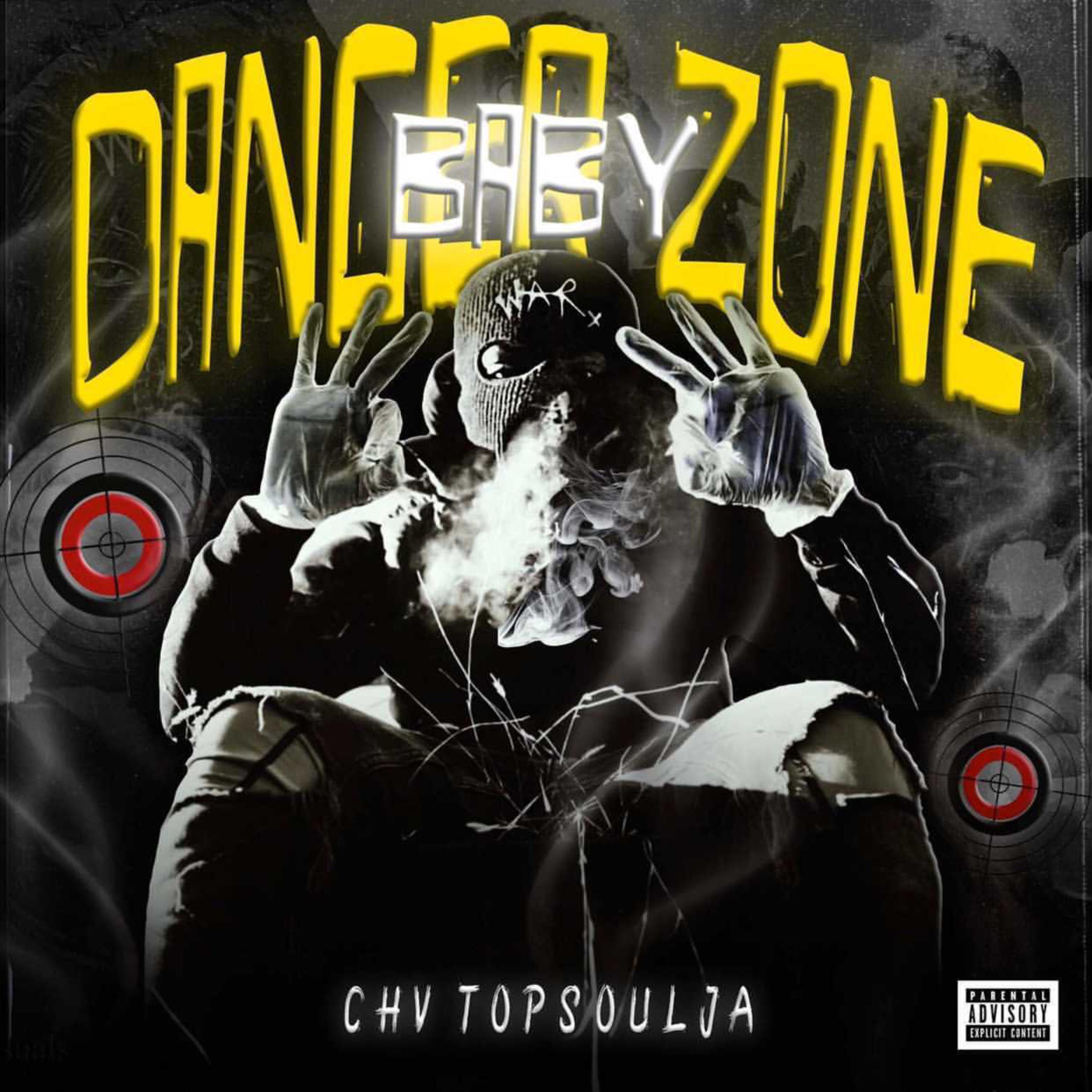 DangerZone Baby artwork