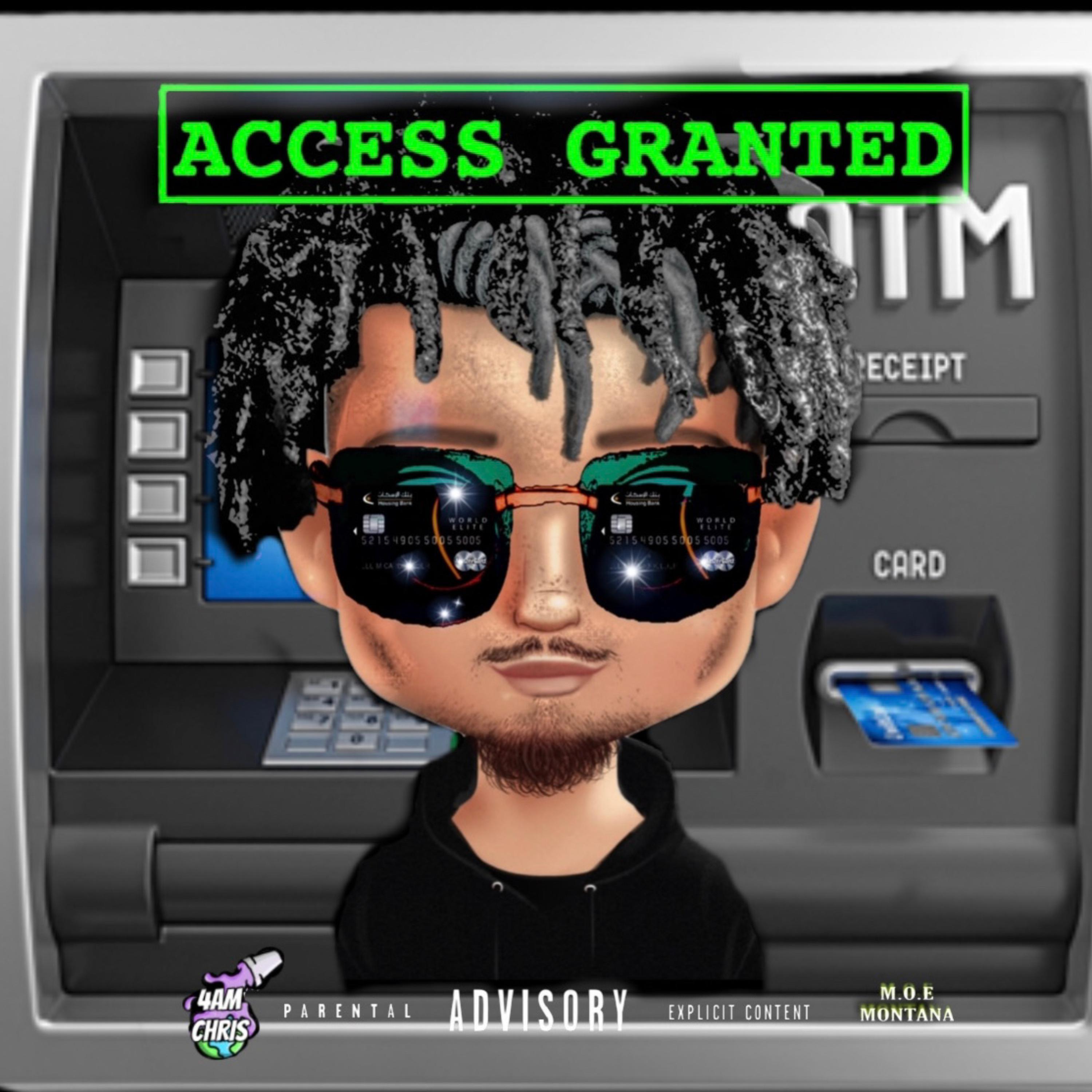 Access Granted artwork