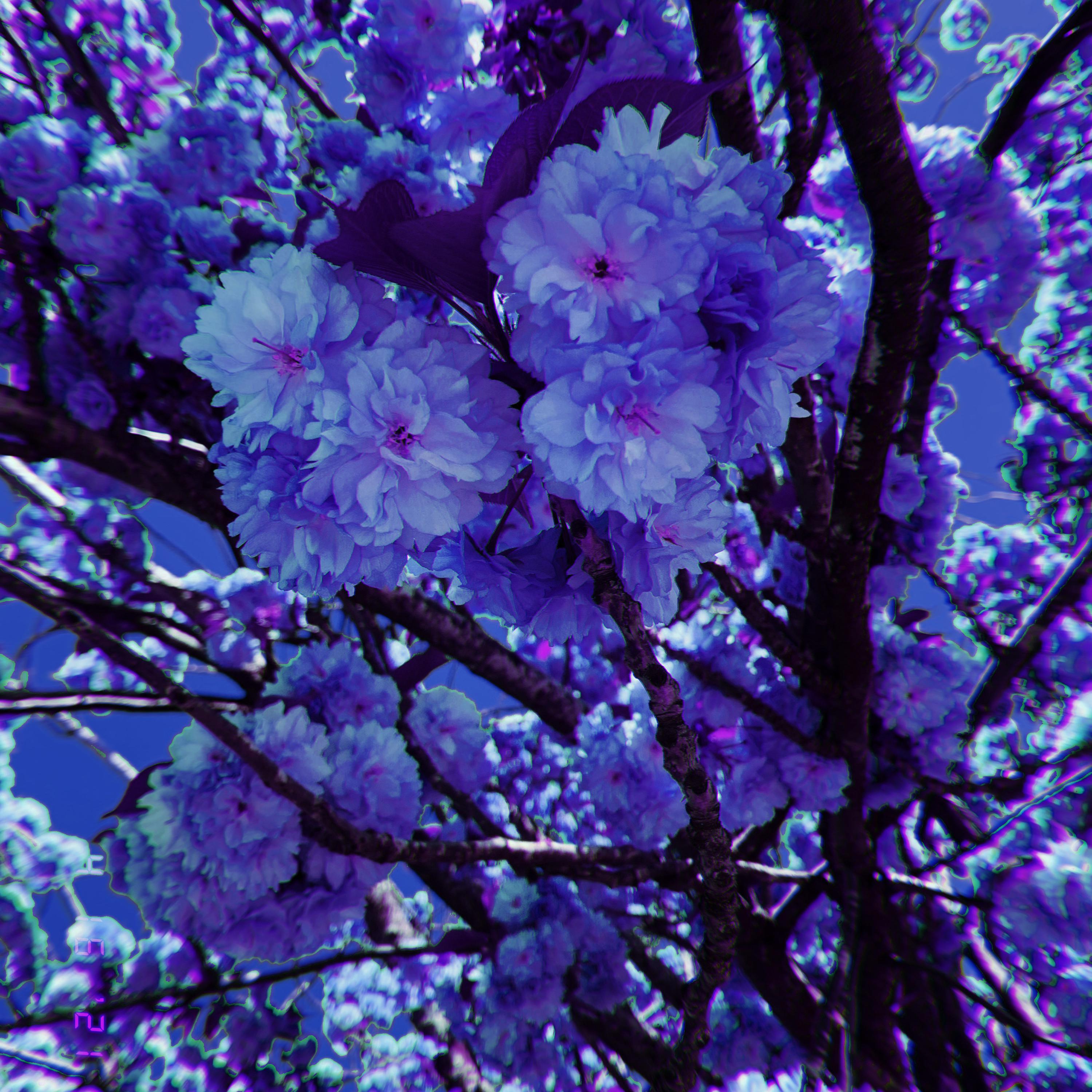 Blue artwork