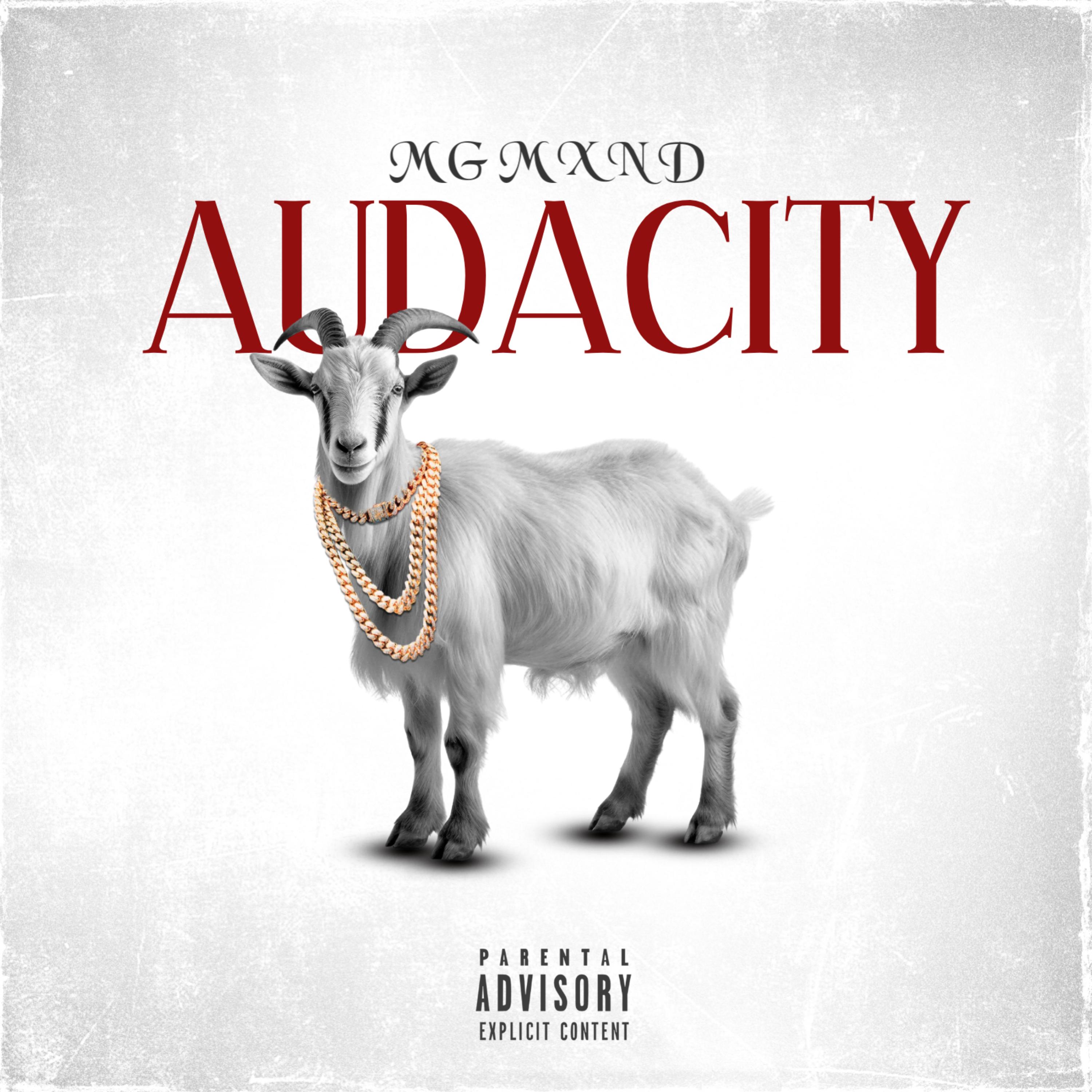AUDACITY artwork