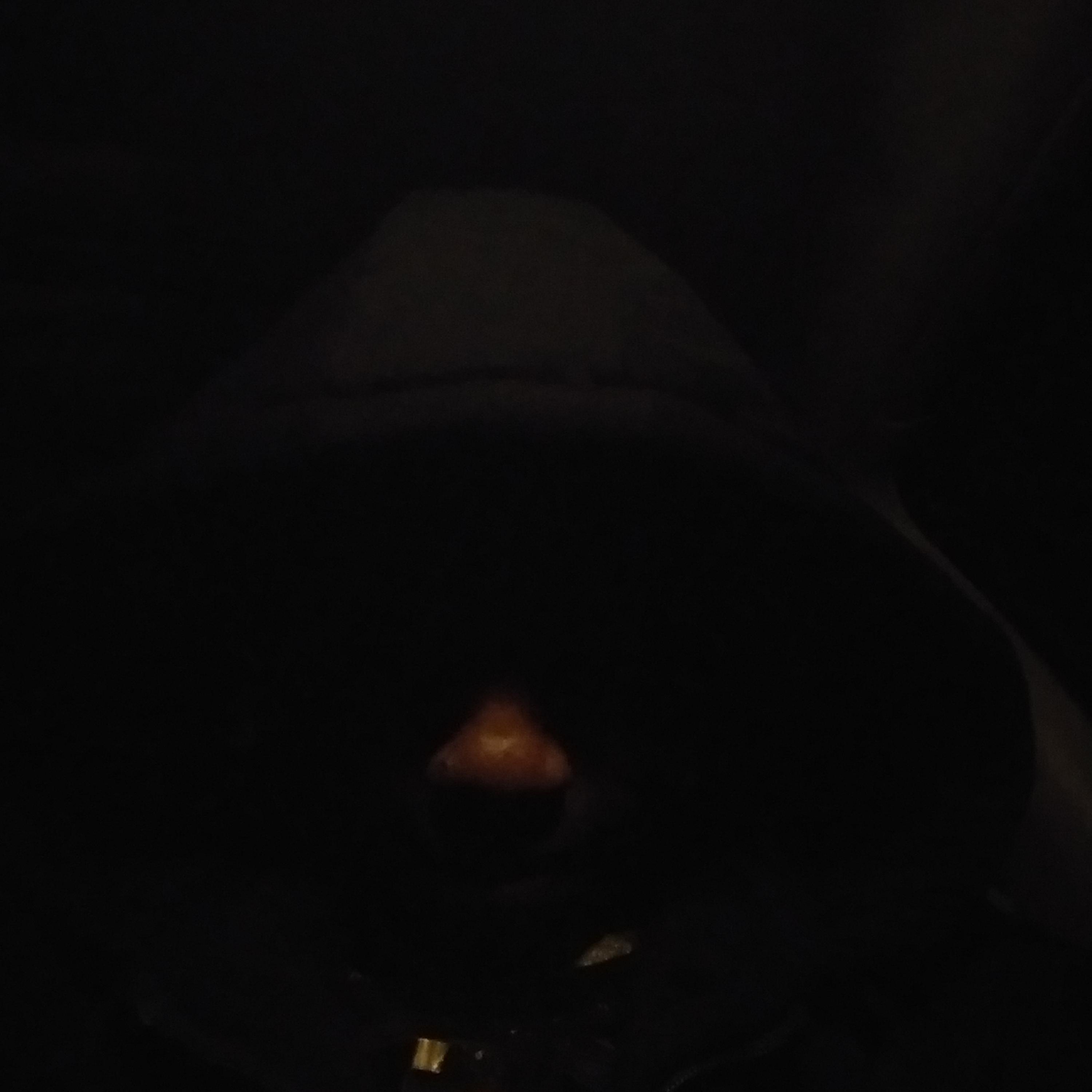 Welcome 2 da Peach State artwork