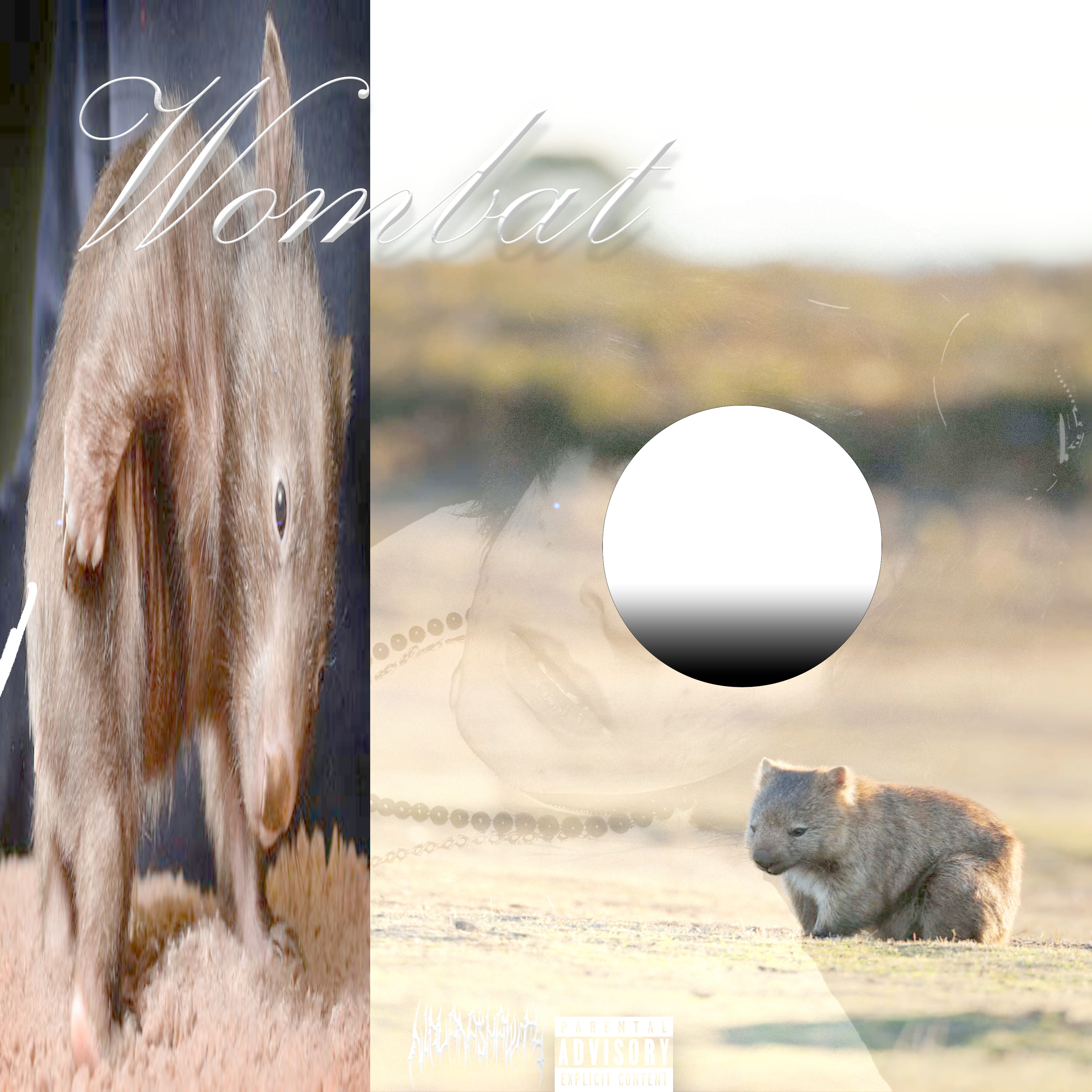WOMBAT! artwork