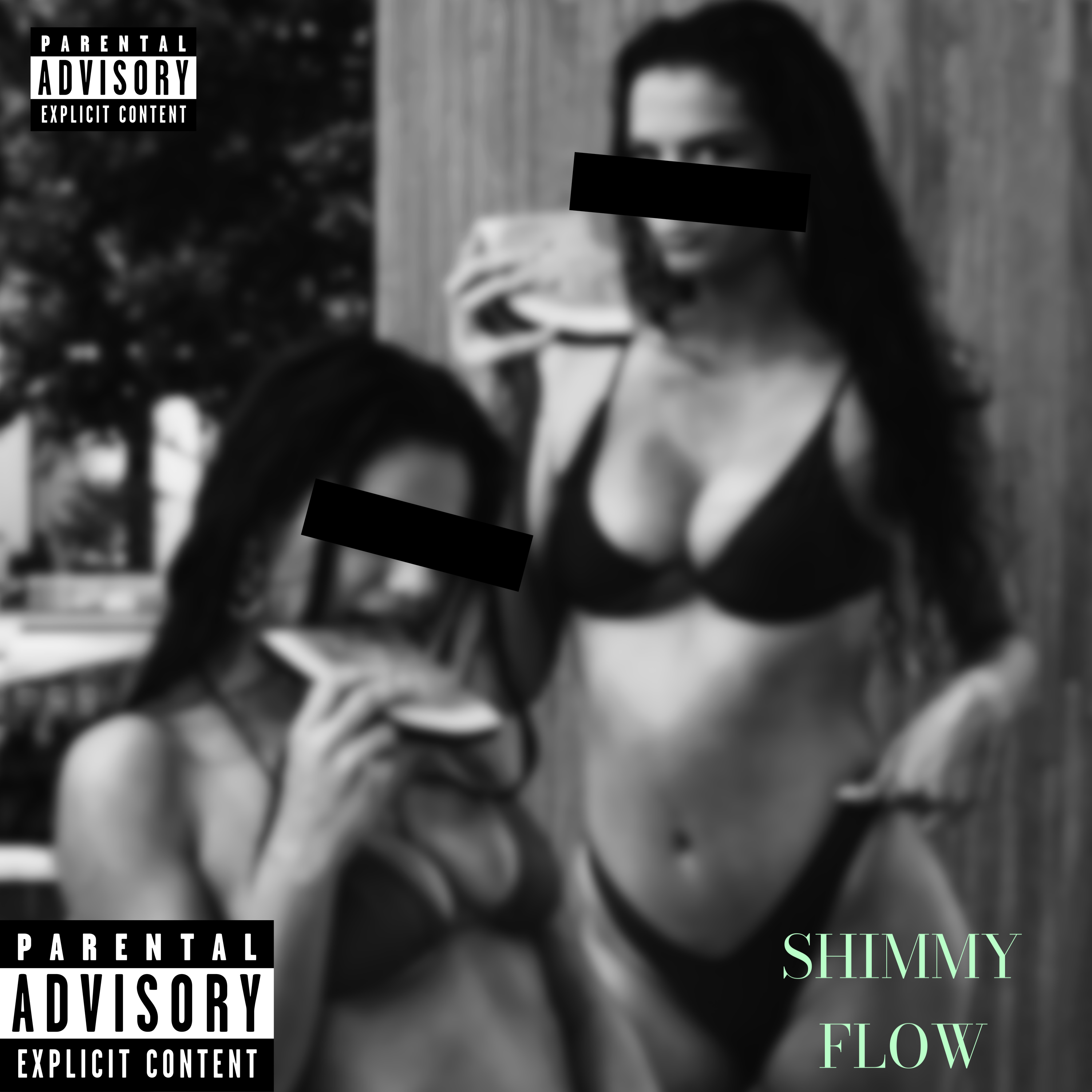 SHIMMYFLOW artwork