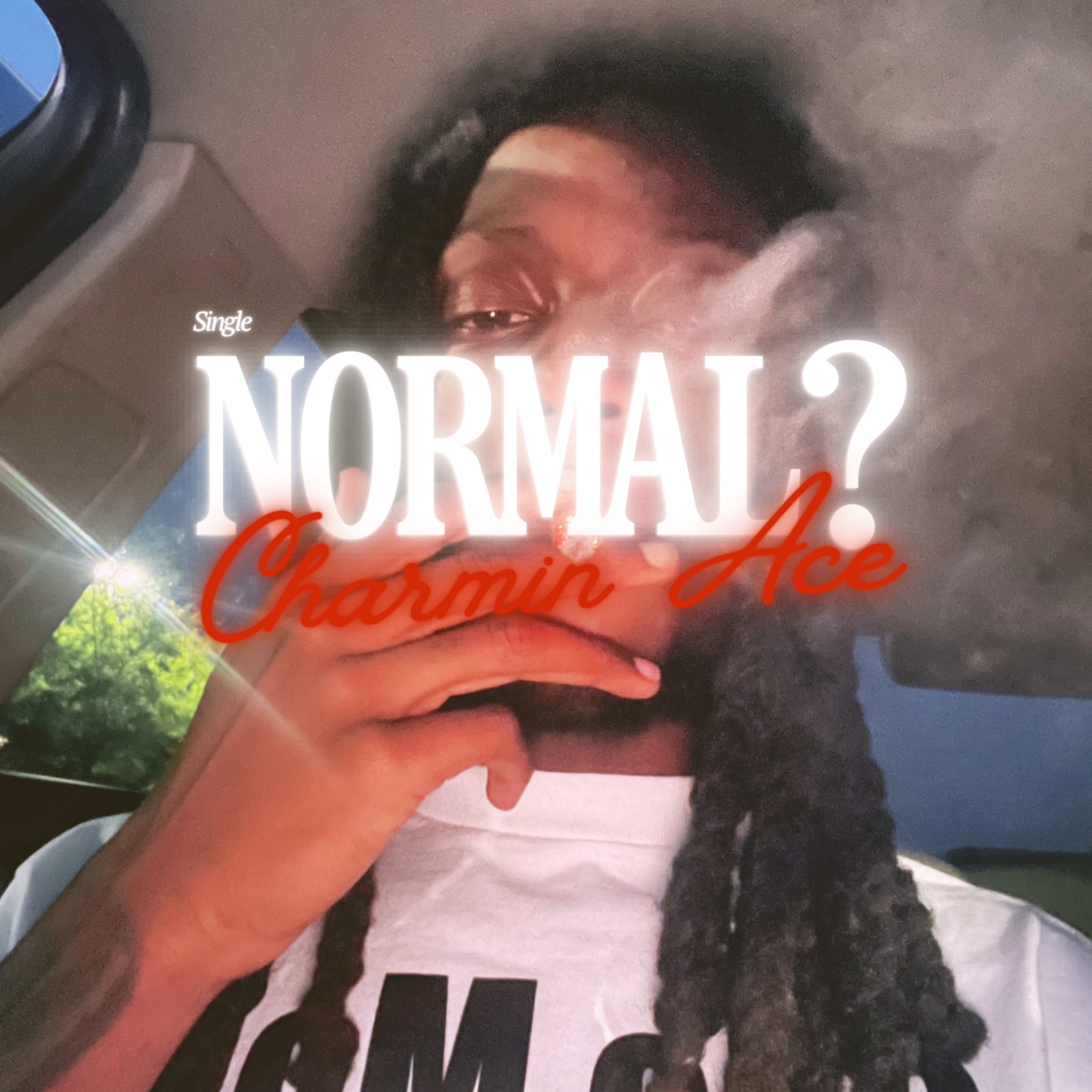 Normal ? by Charmin Ace cover art
