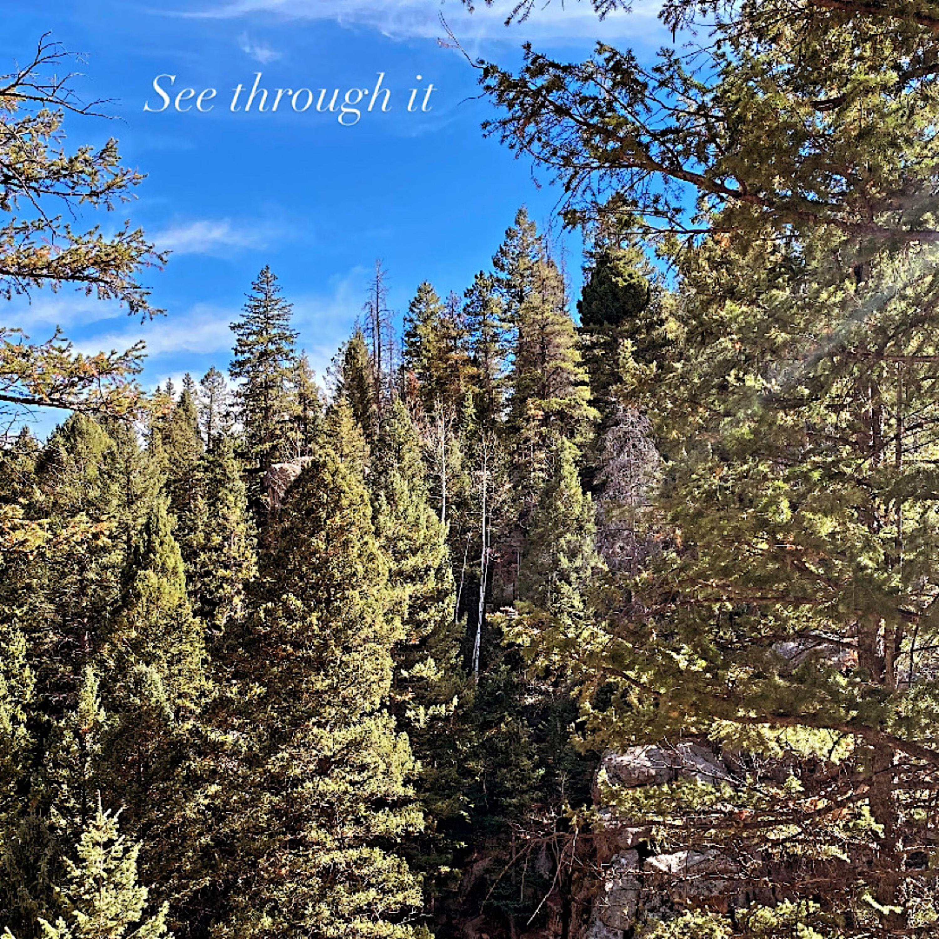 See Through It artwork