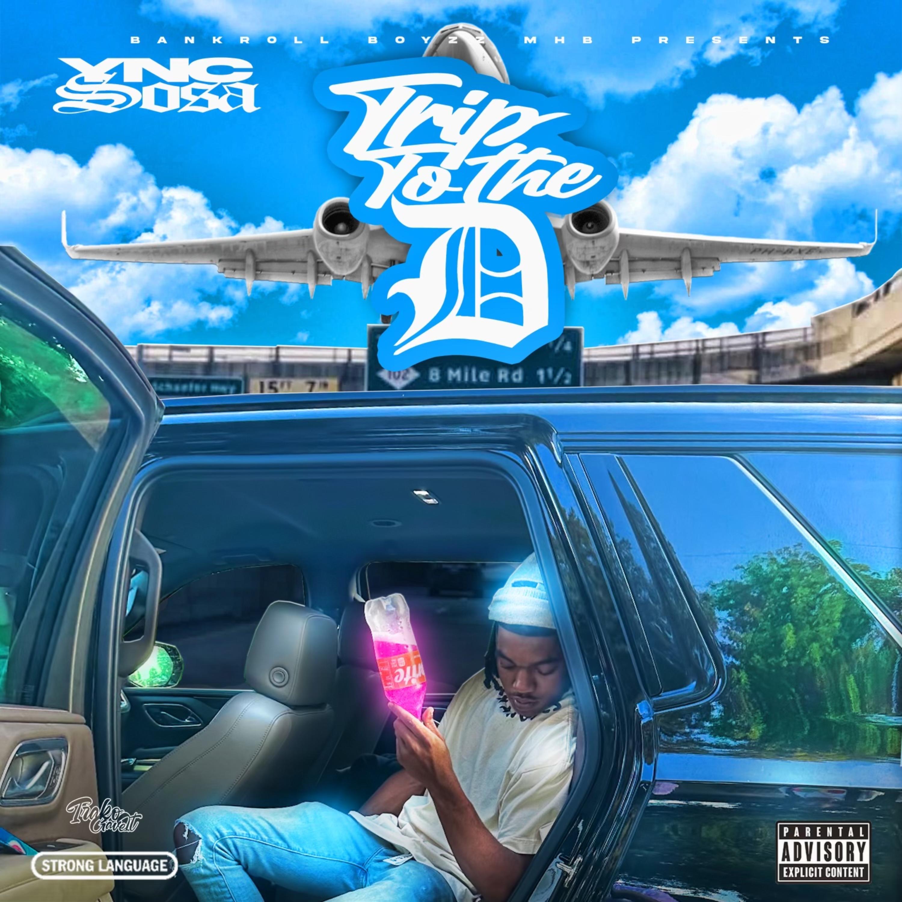 Trip To The D artwork