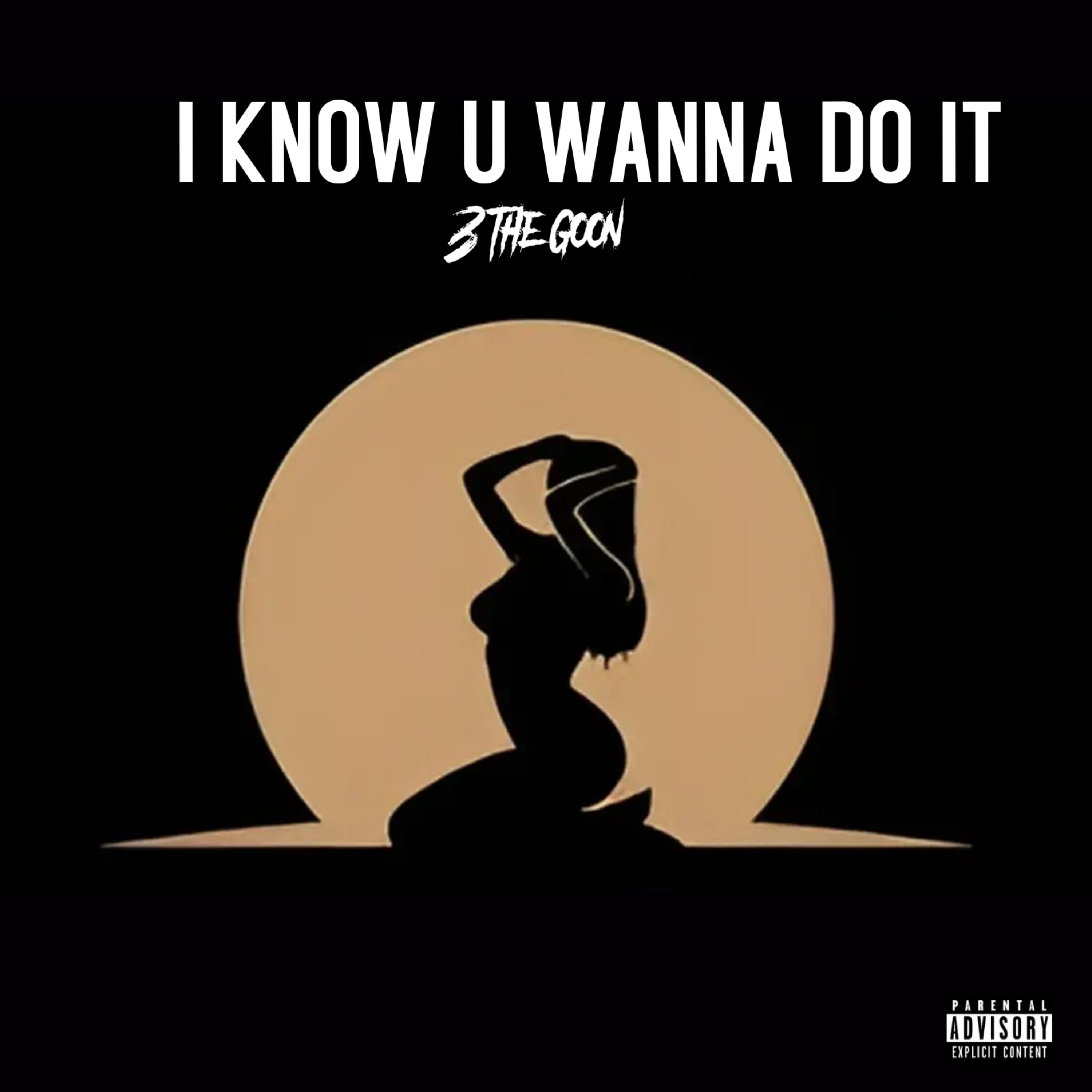 I Know U Wanna Do It artwork