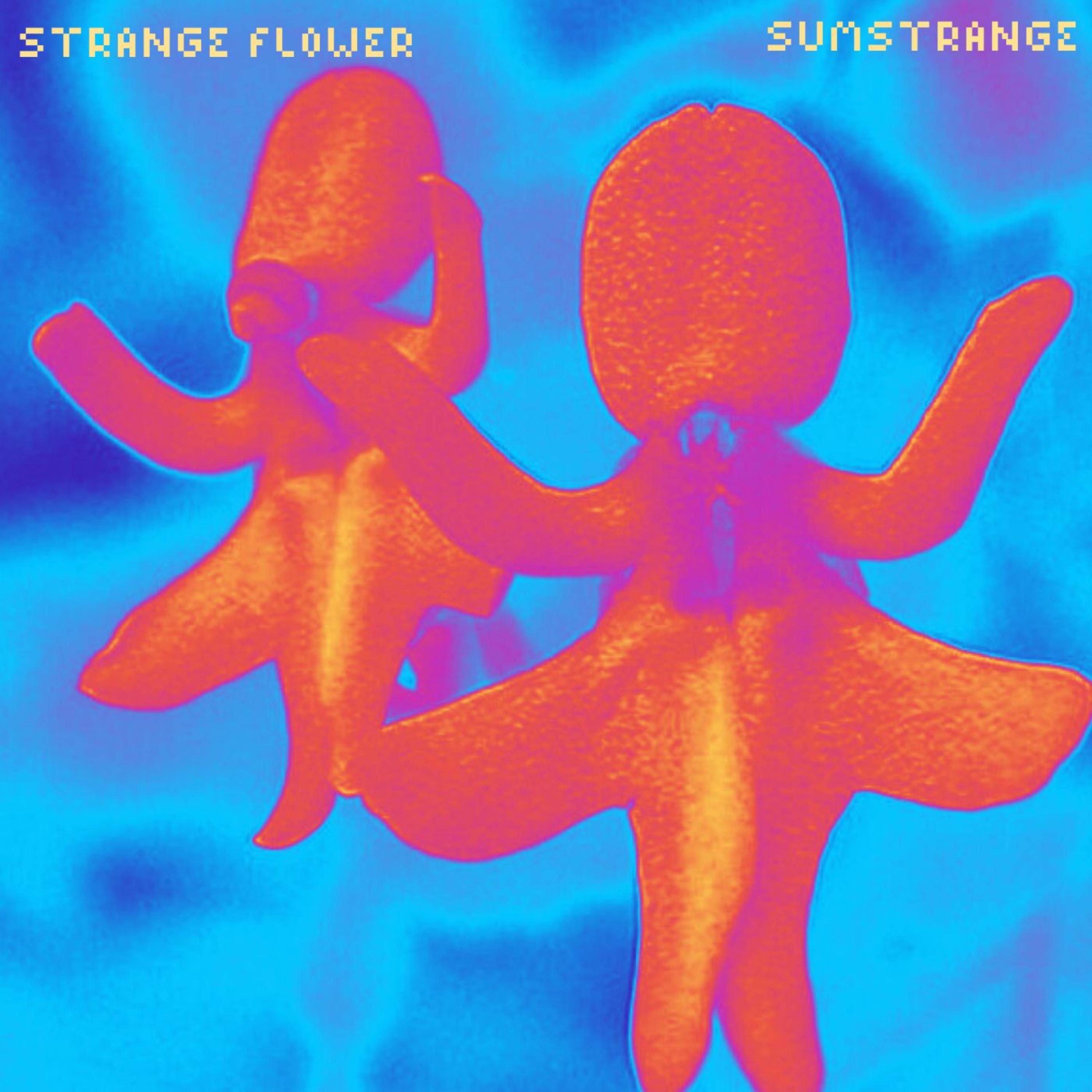 Strange Flower artwork