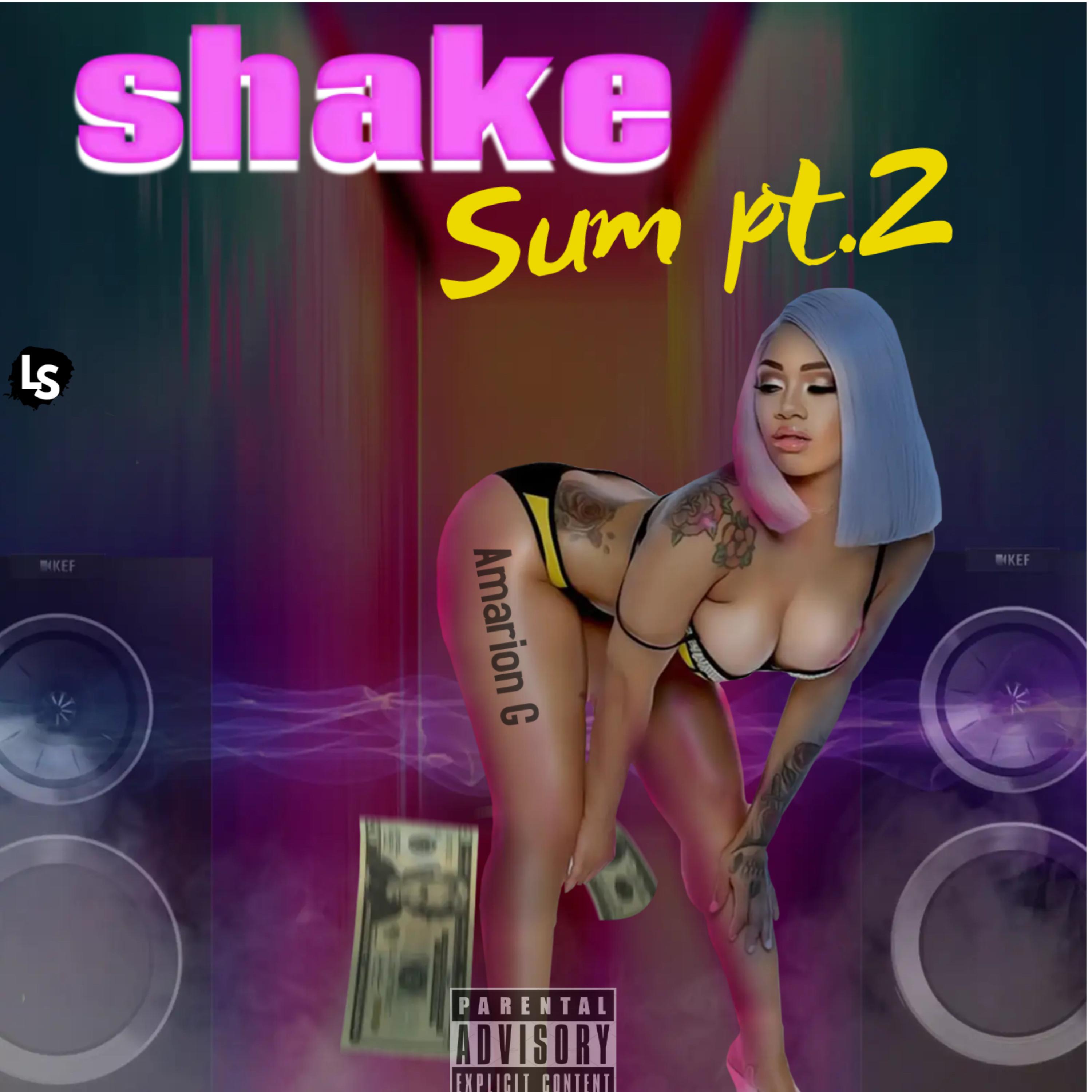 Shake Sum Pt.2 artwork
