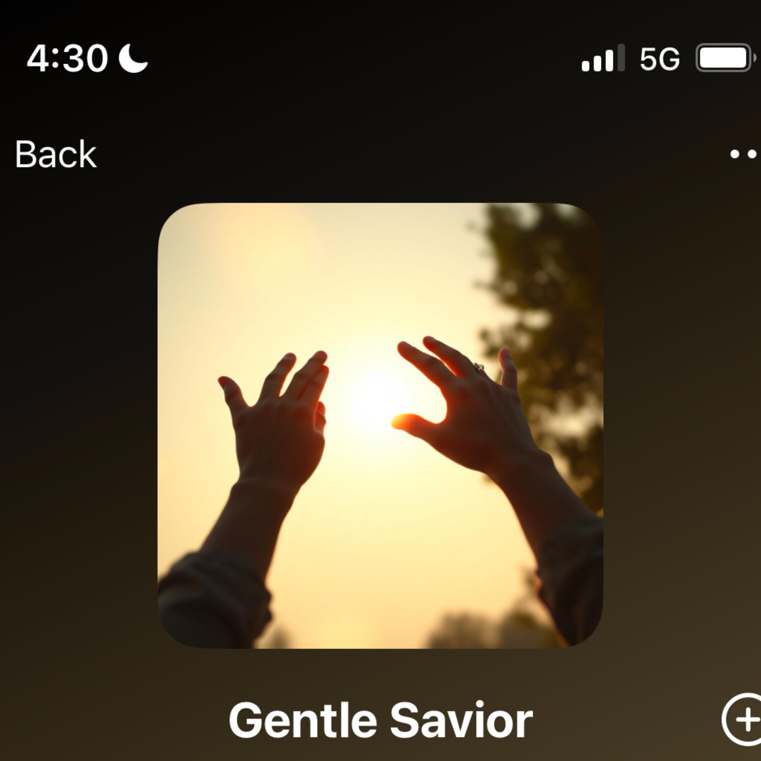 Gentle Savior artwork