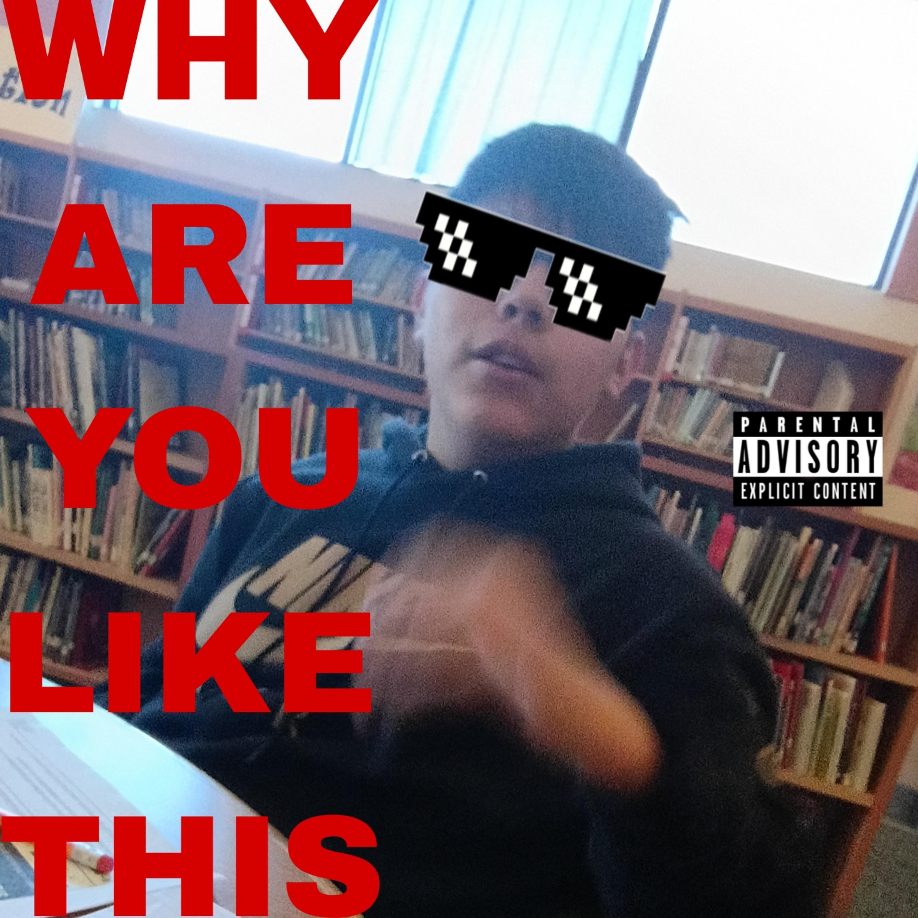 Why Are You Like This artwork