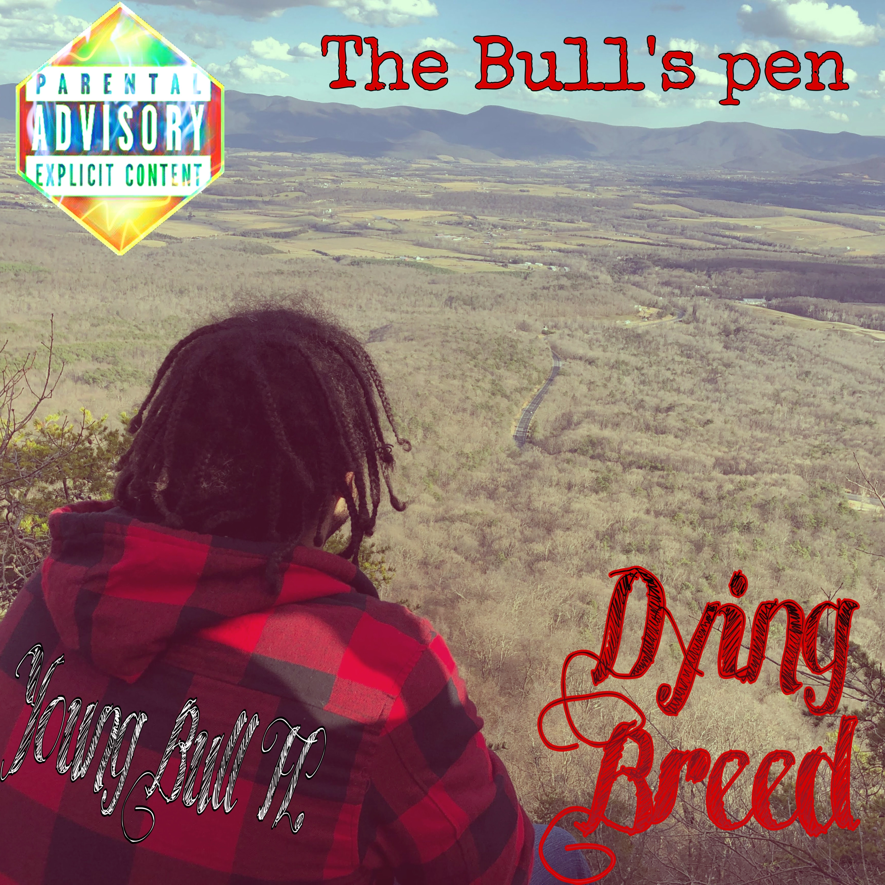 The Bull's Pen artwork