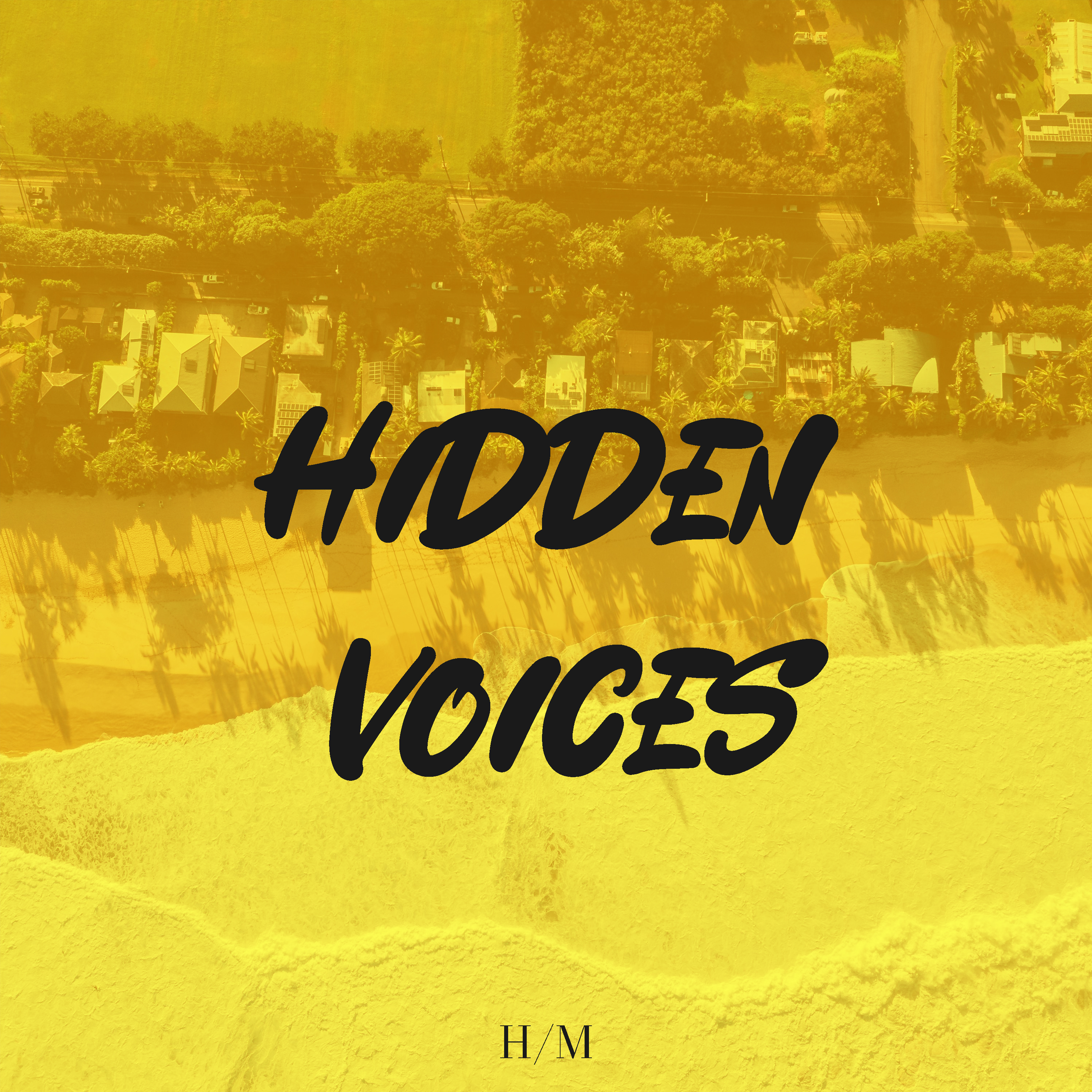 Hidden Voices artwork
