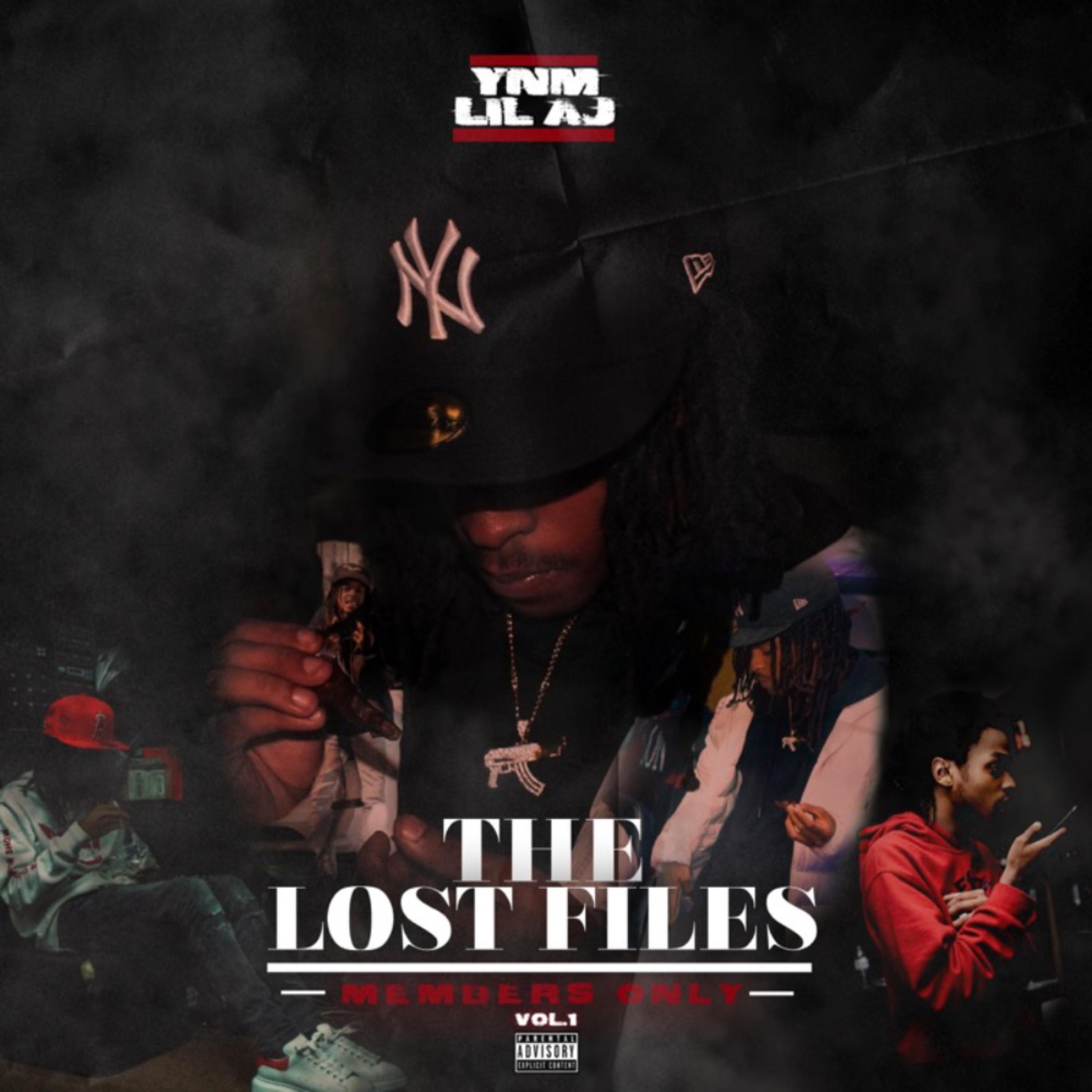 The Lost Files Vol.1: Members Only by Baby Sneak cover art
