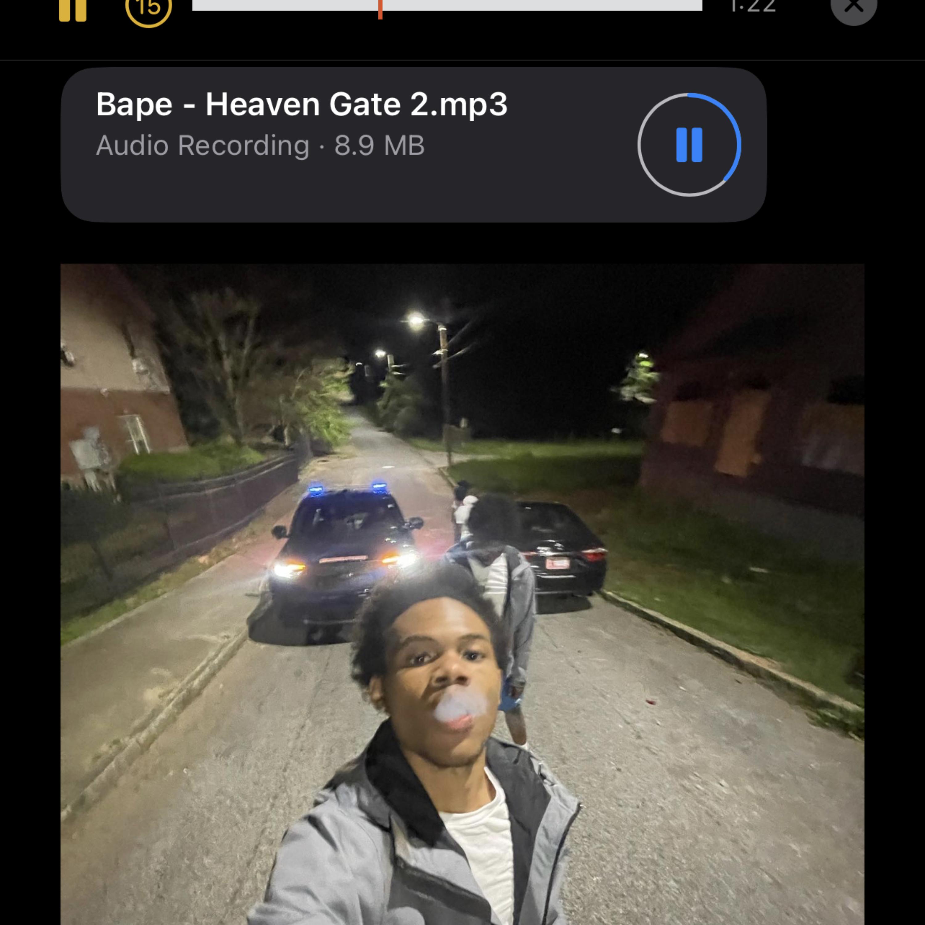 Heaven Gate 2 artwork