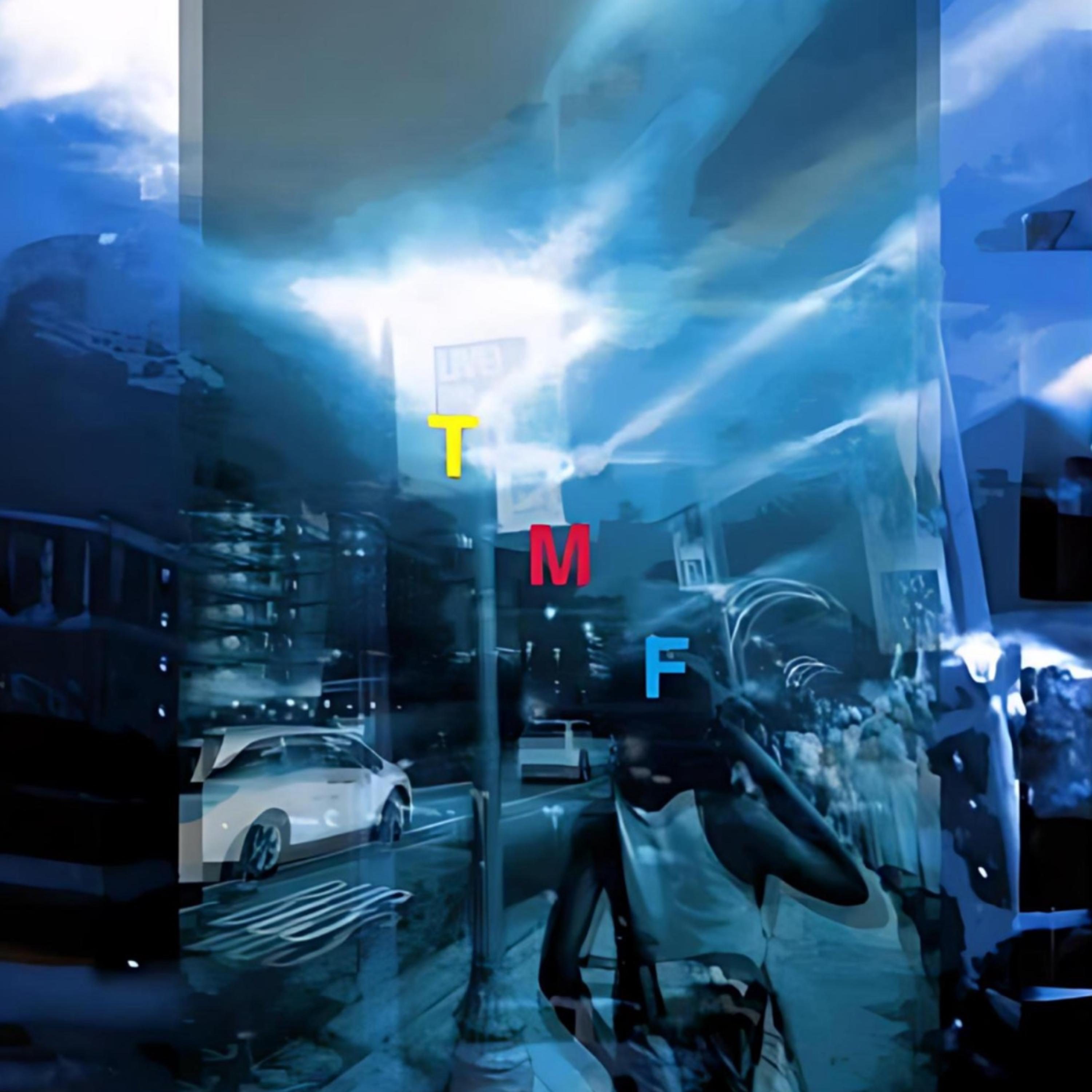 Too Many Flows artwork