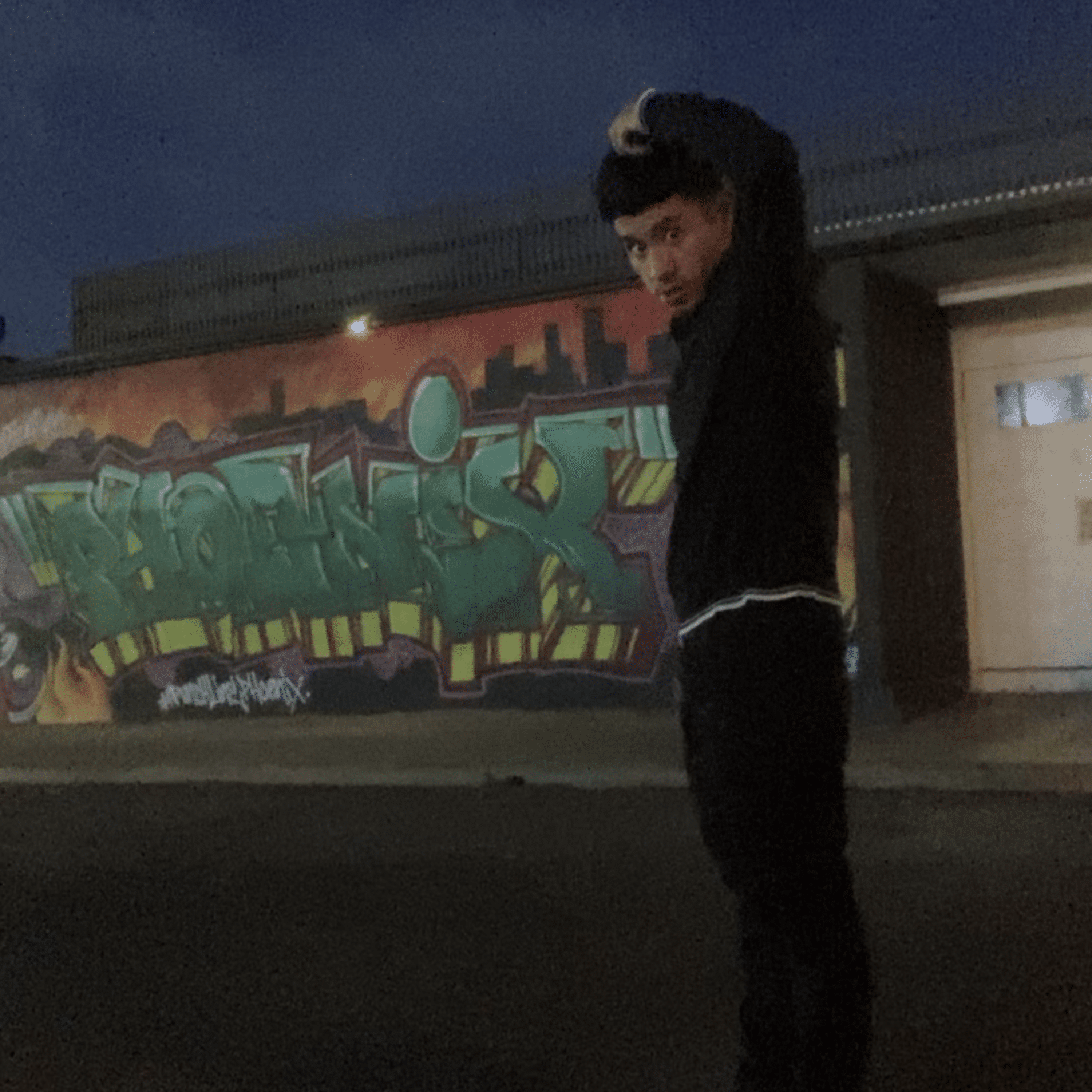 SHROOMSINTHEHOOD artwork