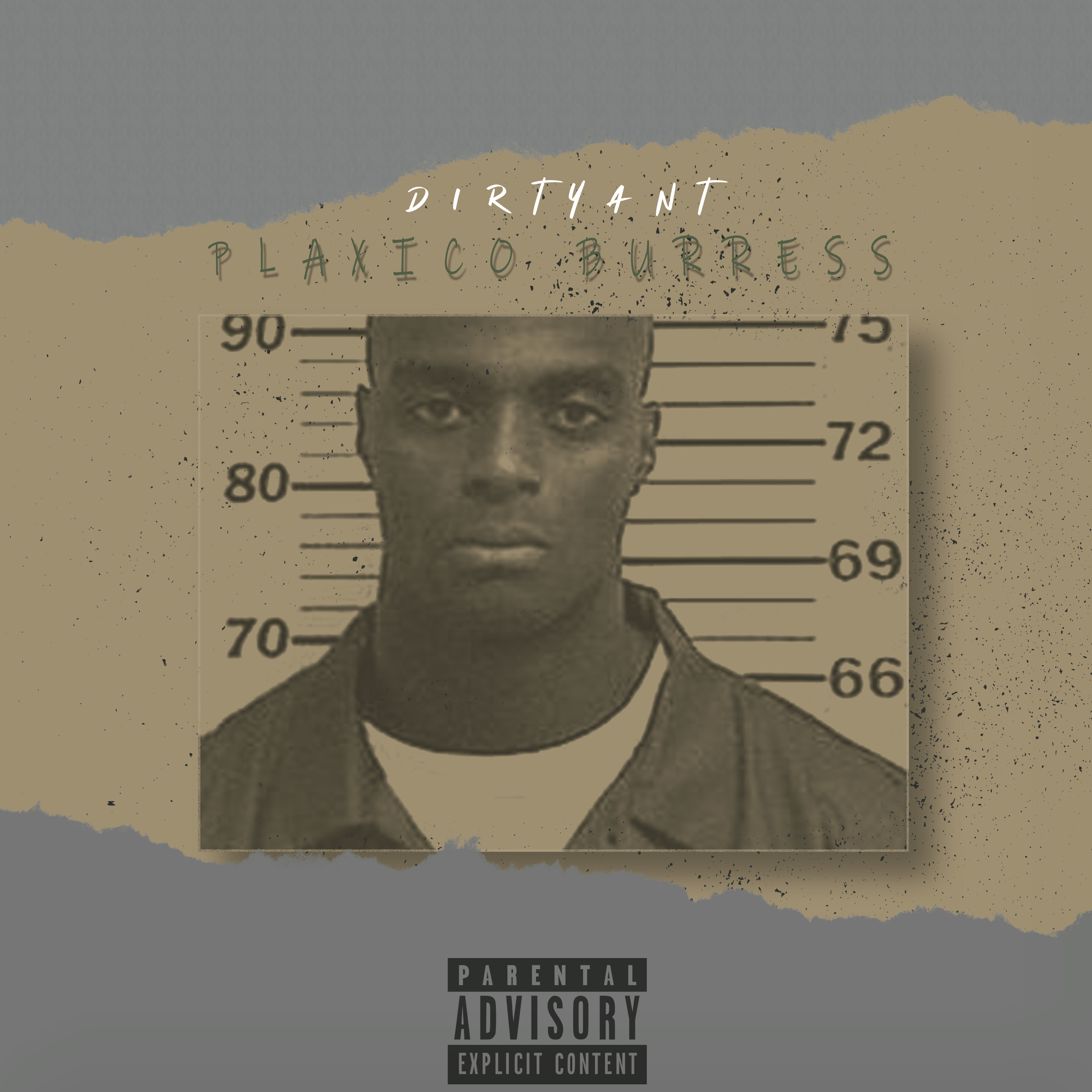 Plaxico Burress artwork