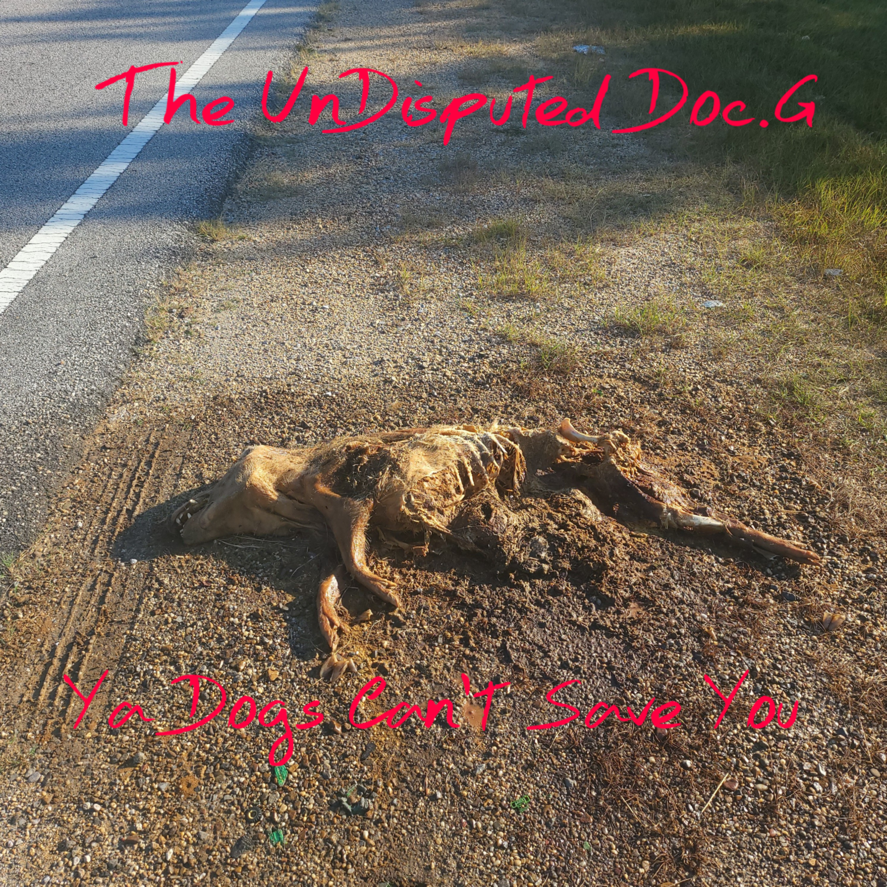 Ya Dogs Can't Save You artwork