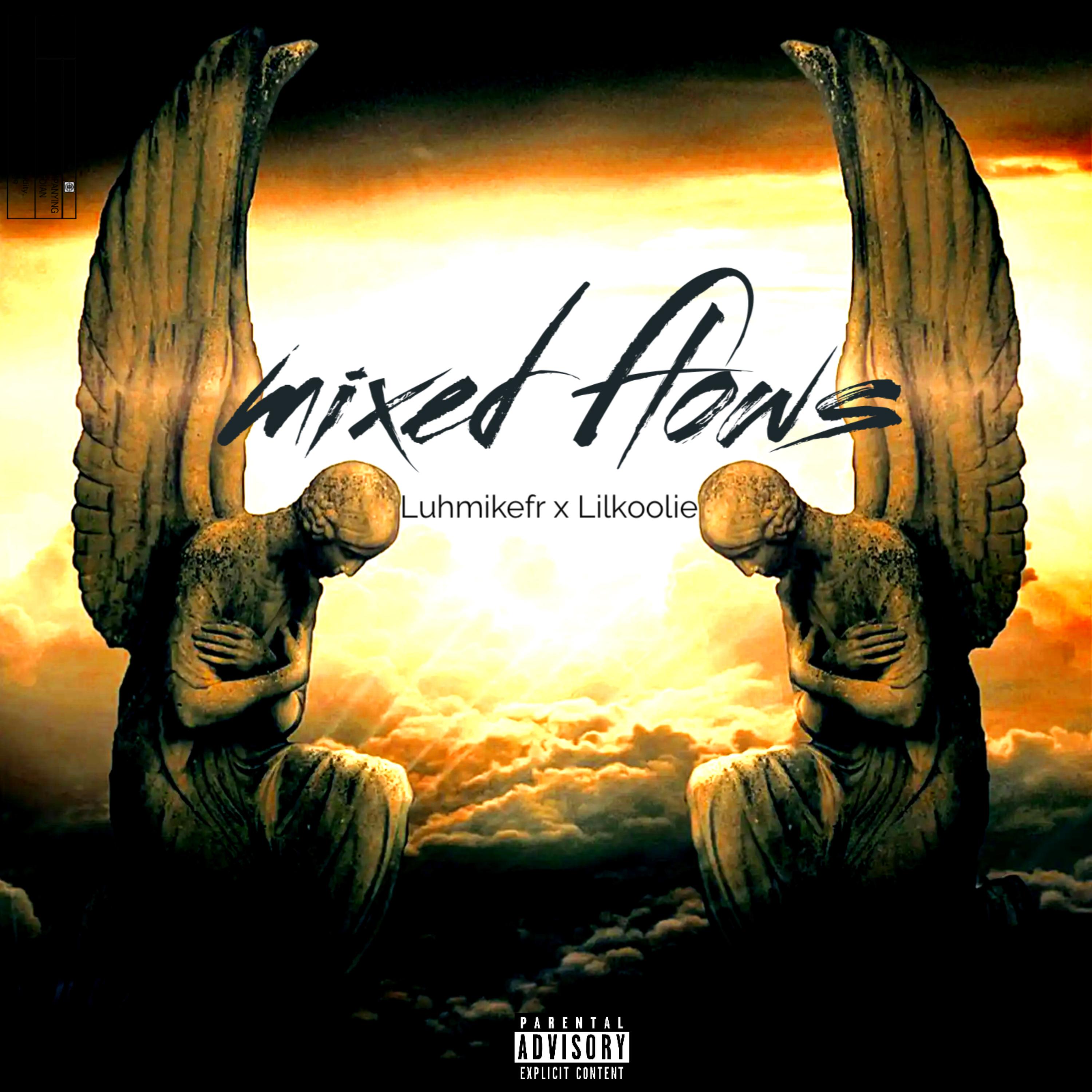 Mixed flows artwork