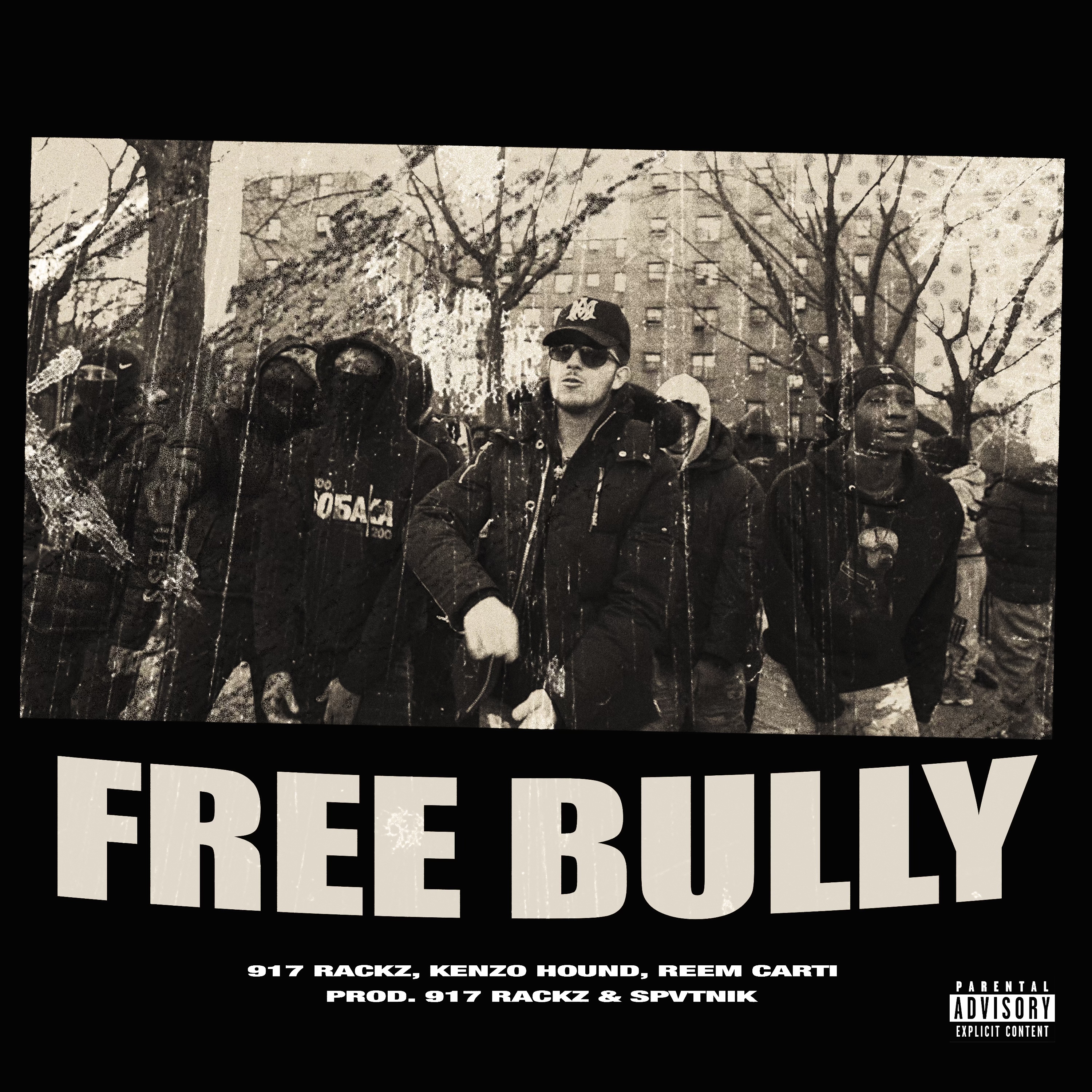 Free Bully artwork