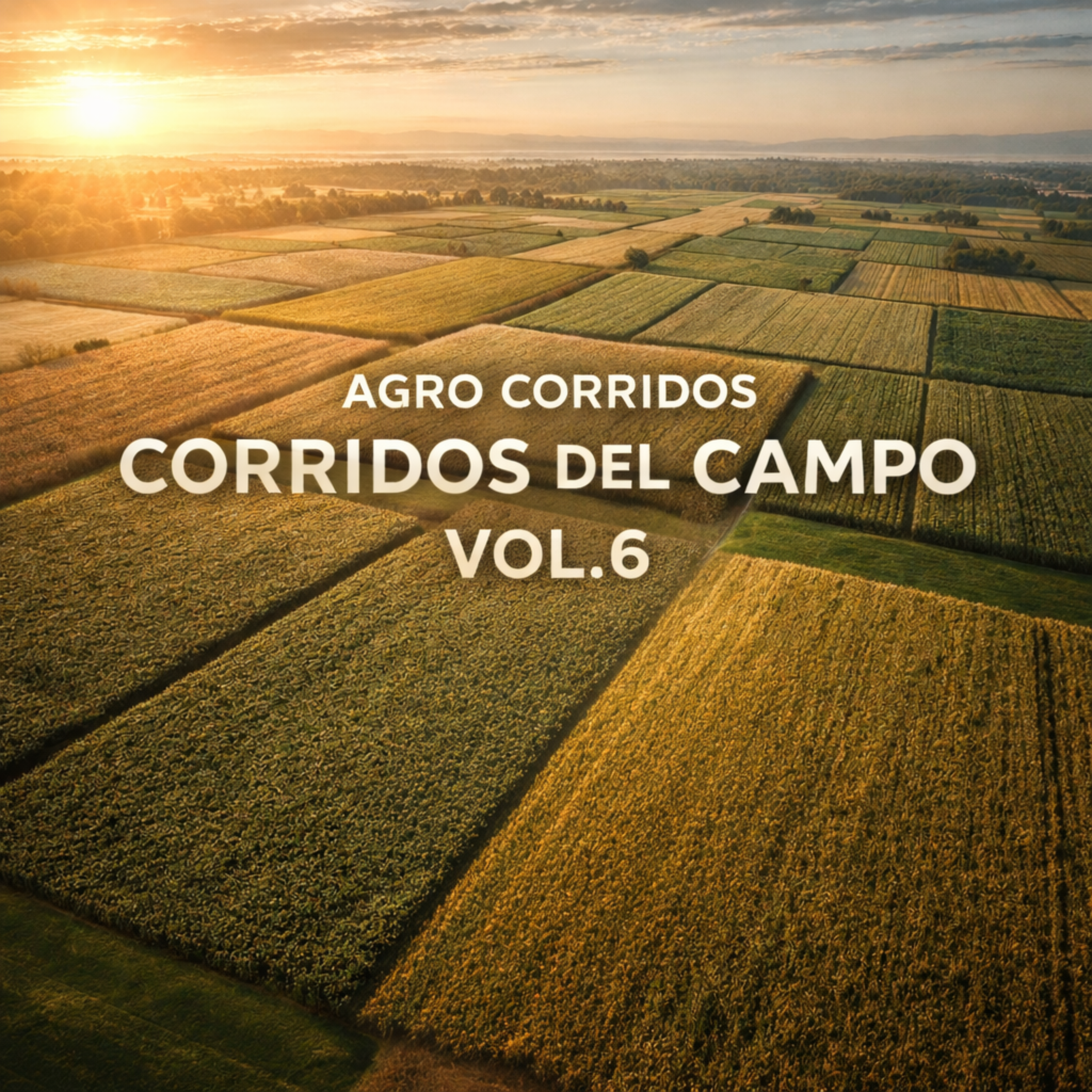Corridos del campo Vol.6 artwork