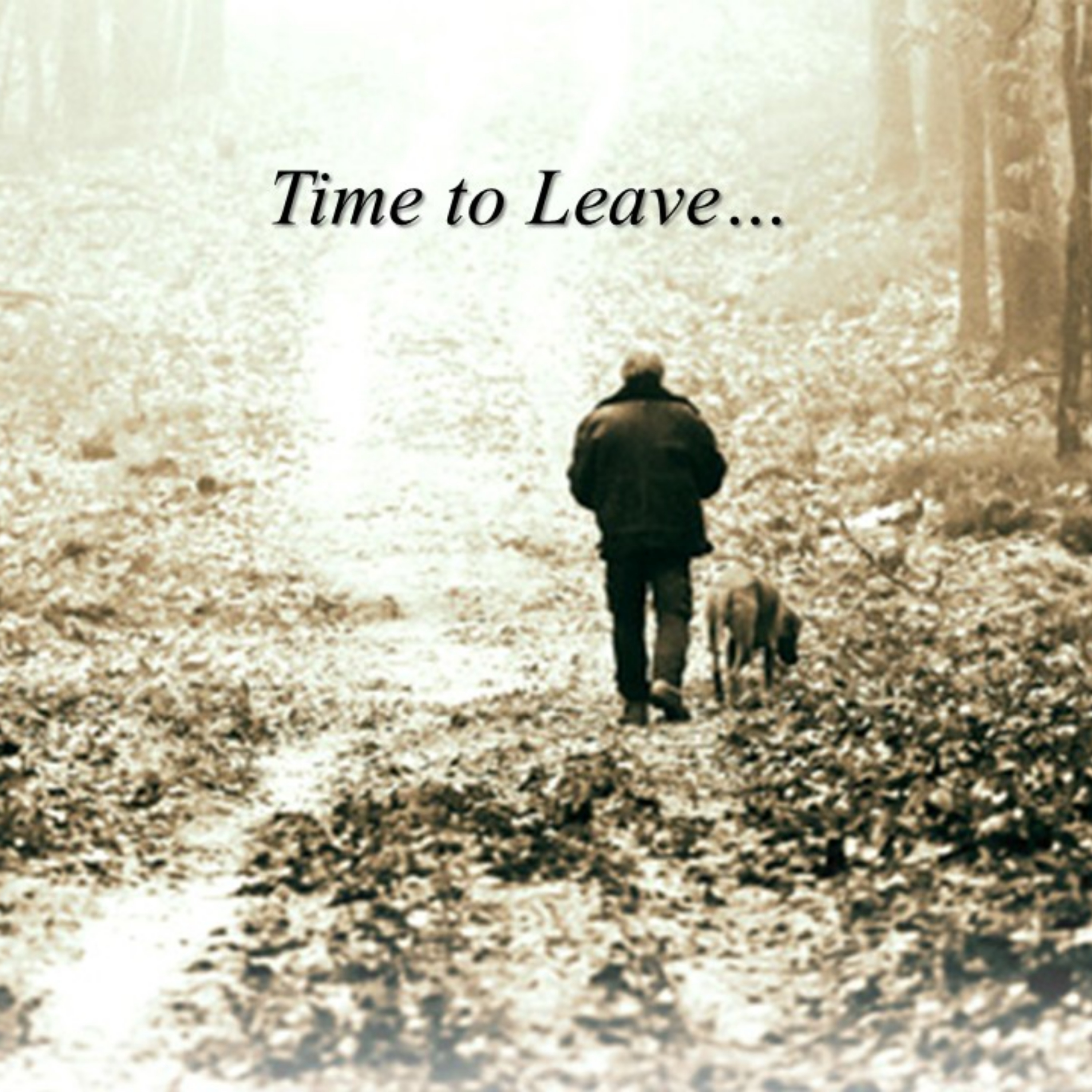 Time To Leave artwork