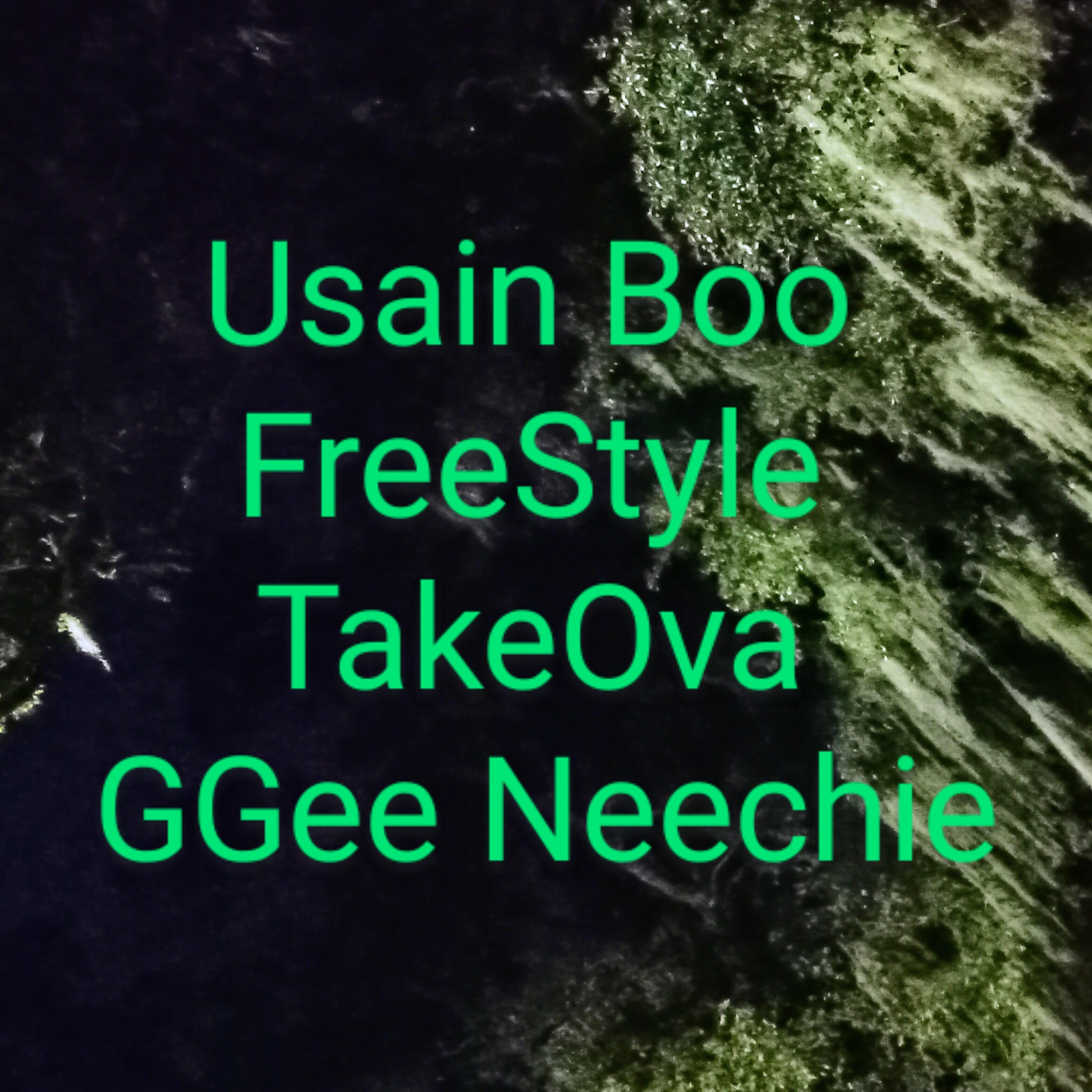 Usain Boo FreeStyle/TakeOva  artwork