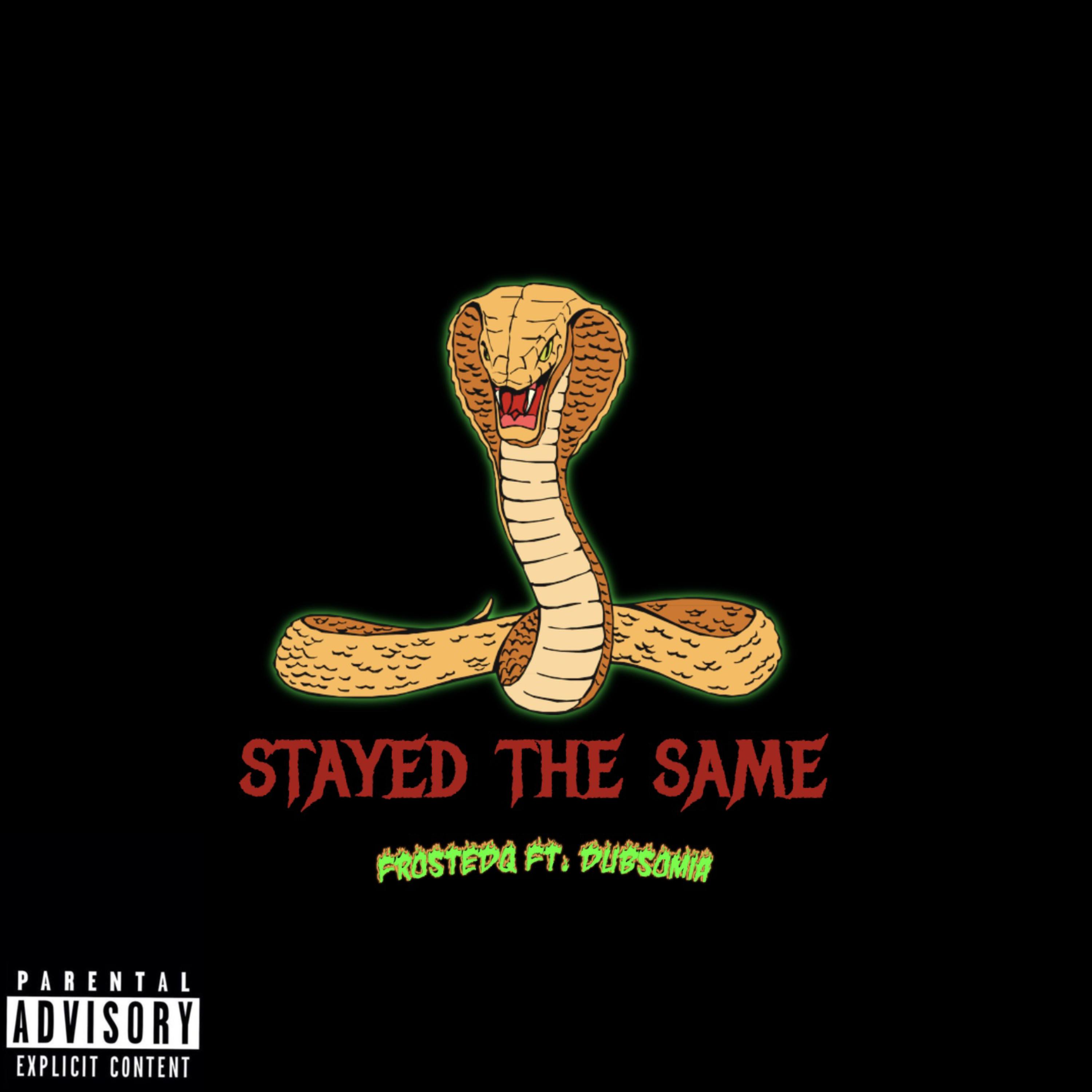 Stayed the same artwork