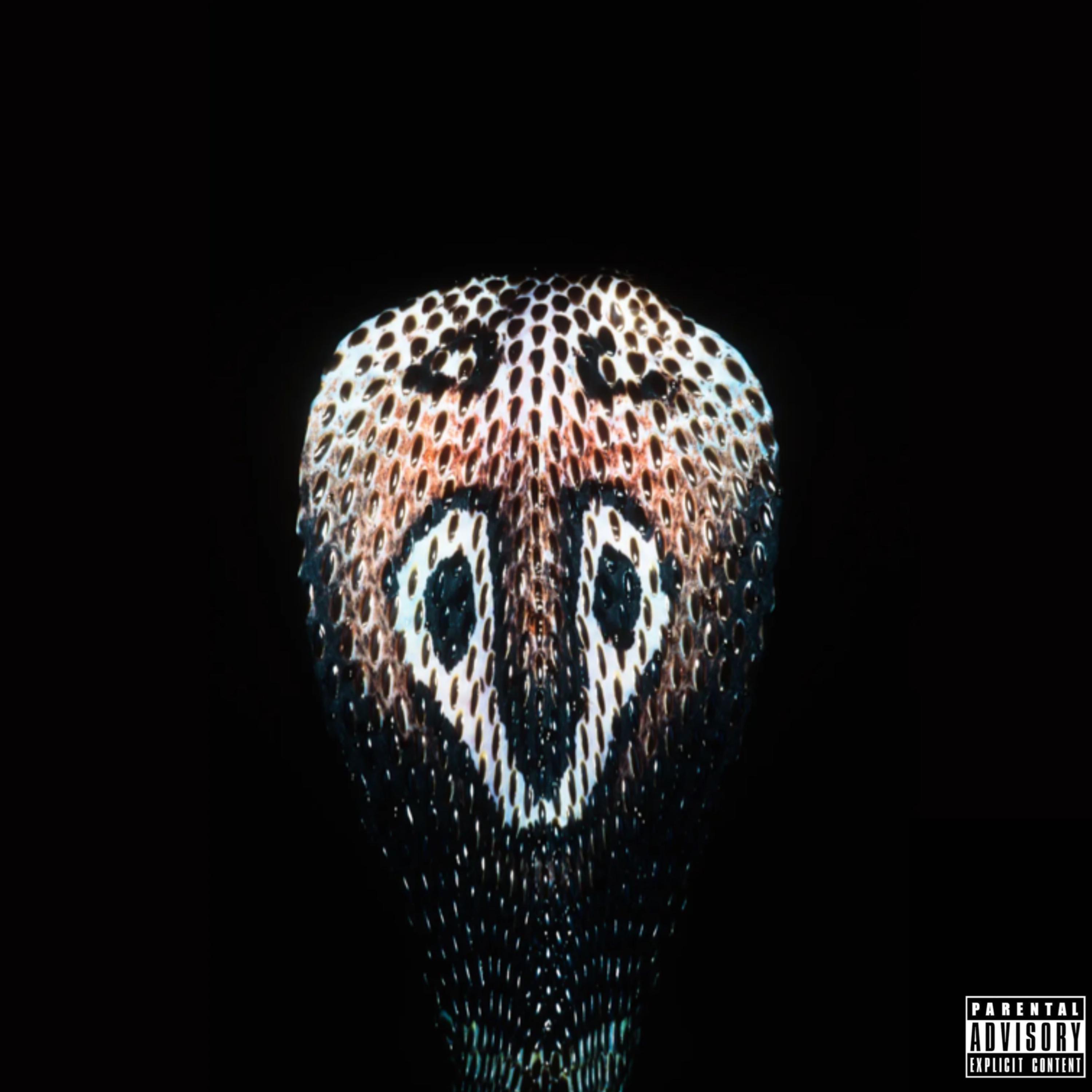 Snake Ya artwork