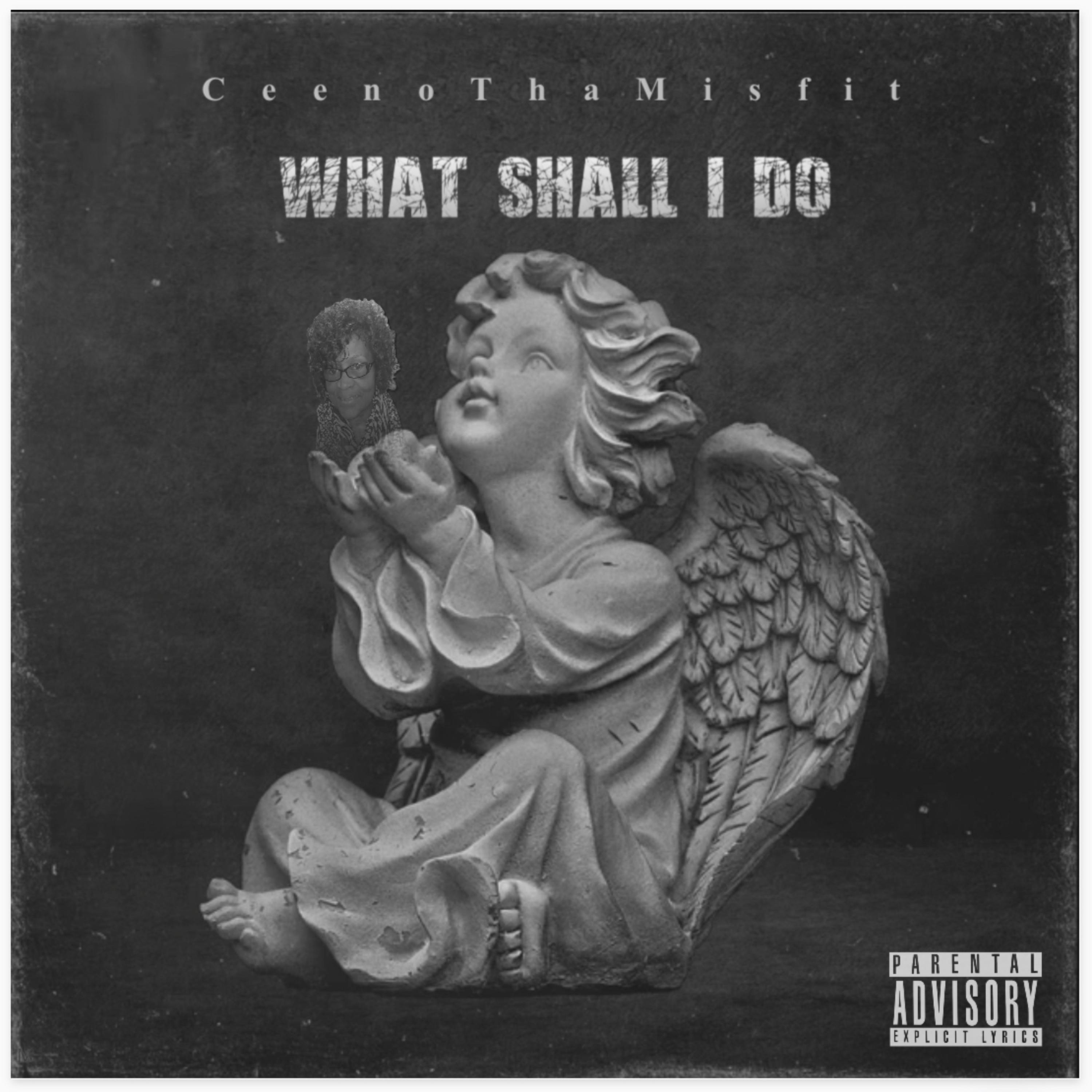 What Shall I Do artwork