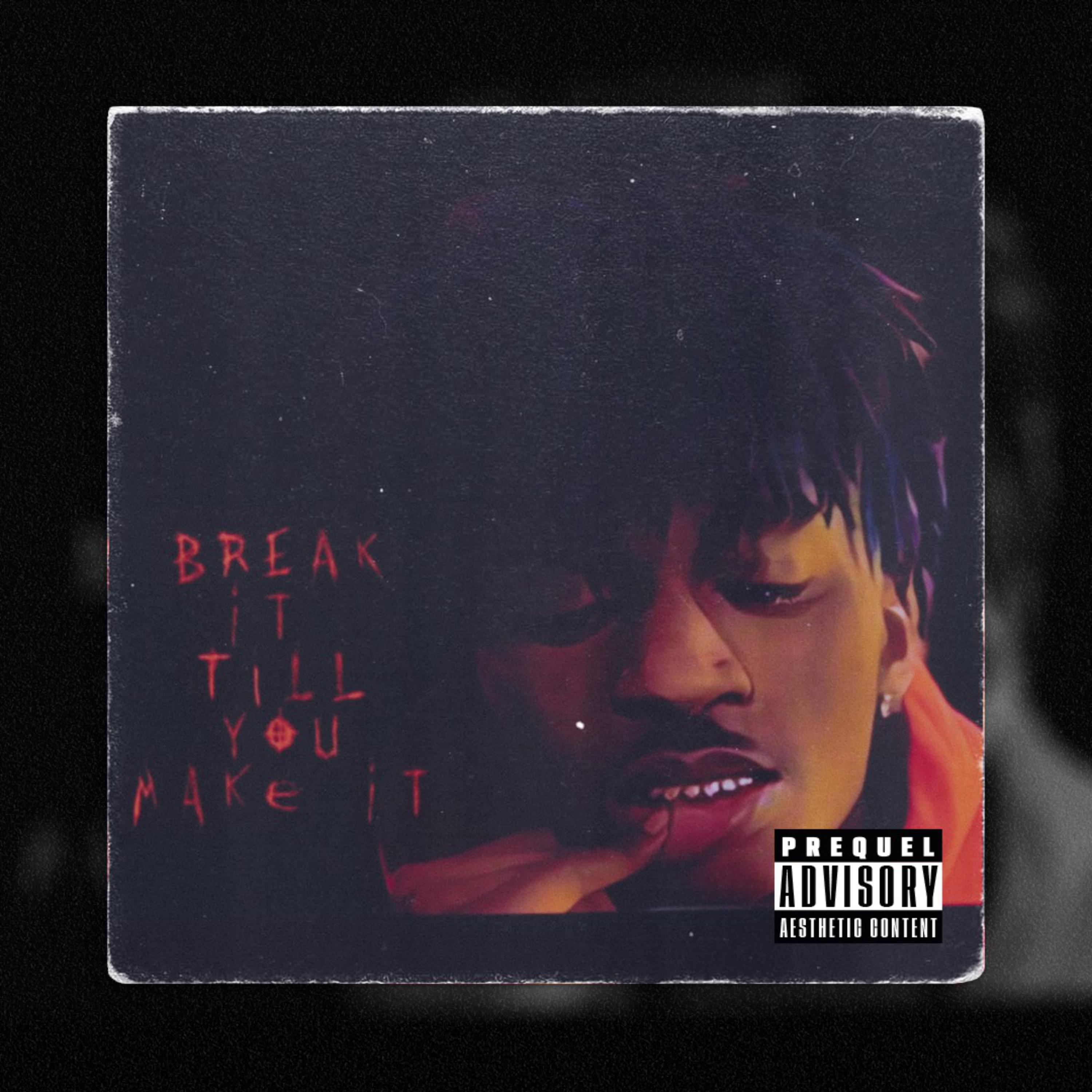 Break It Till You Make It artwork