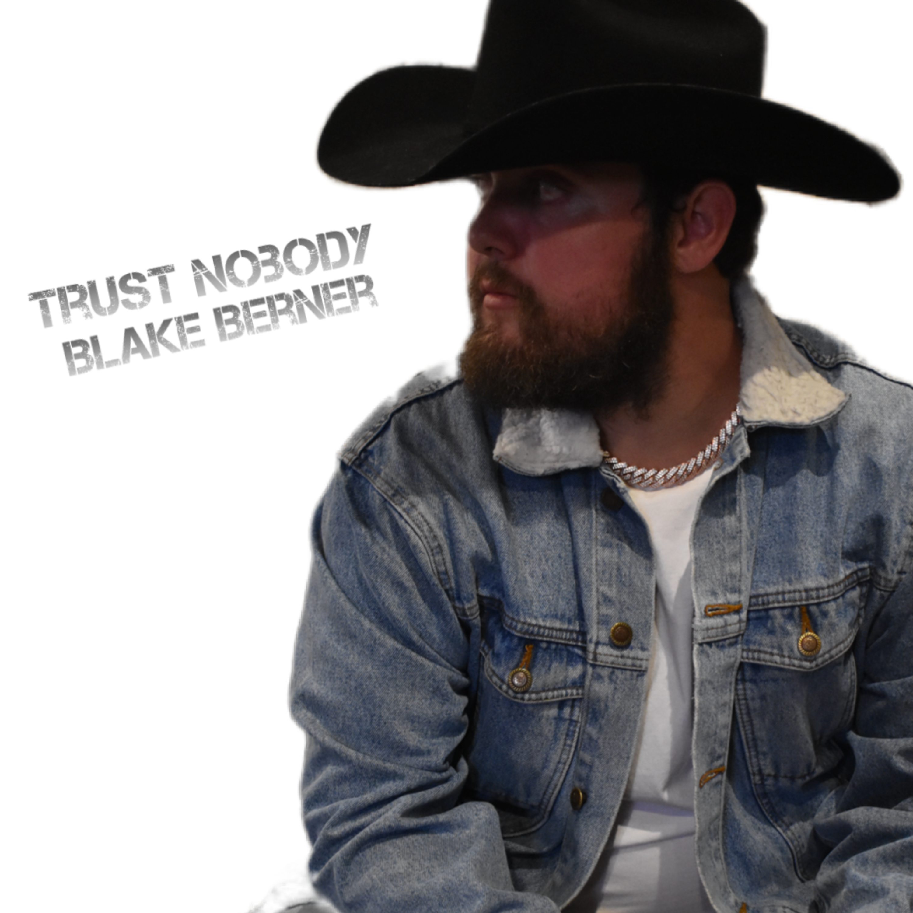 Trust Nobody artwork