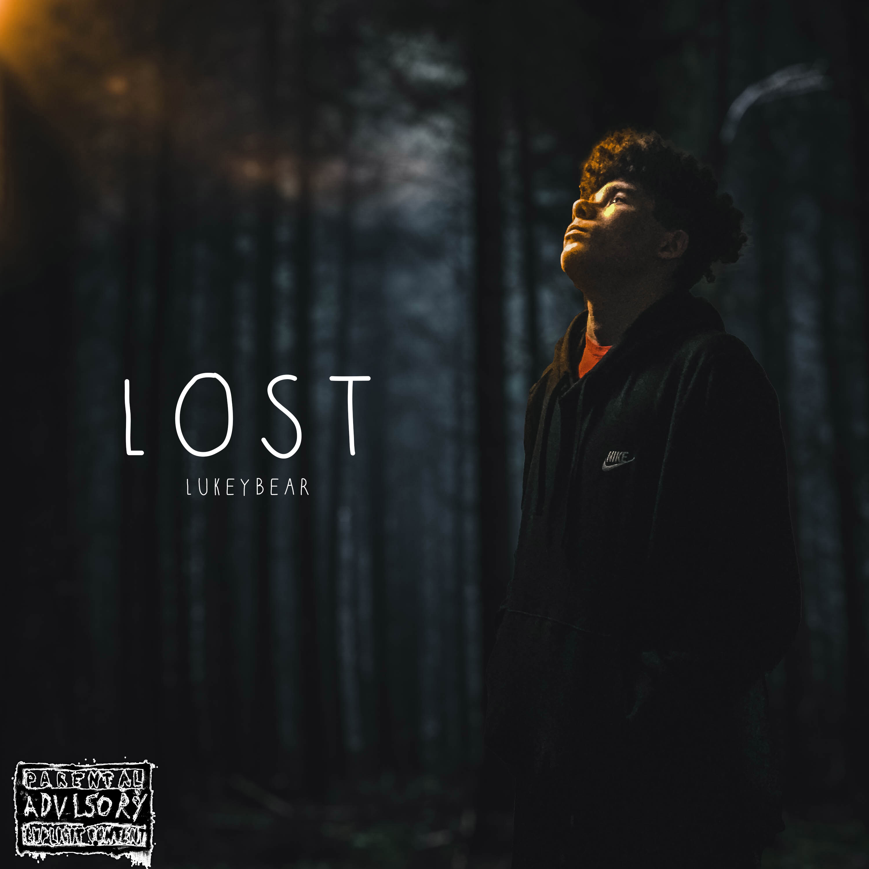 Lost artwork