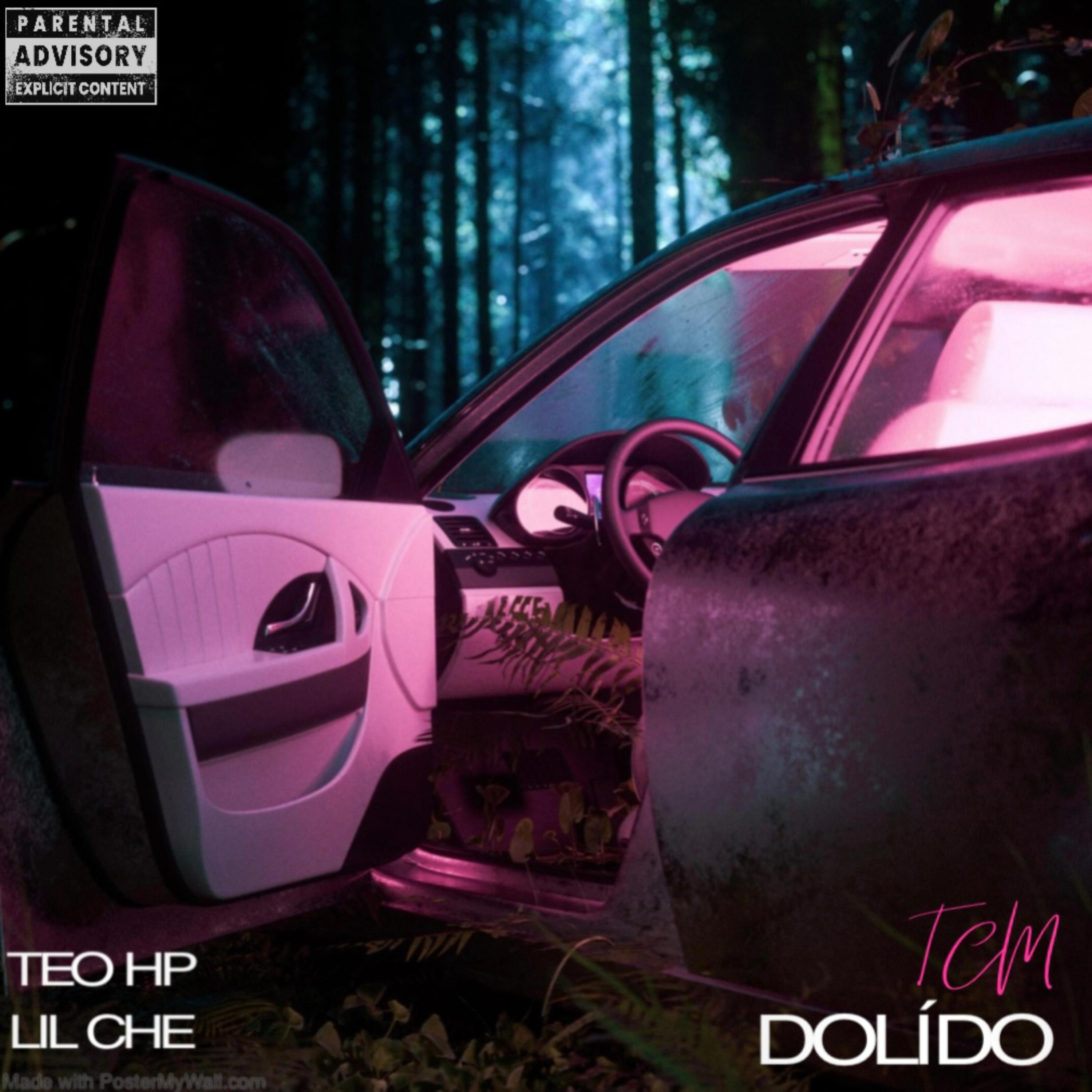 DOLIDO artwork