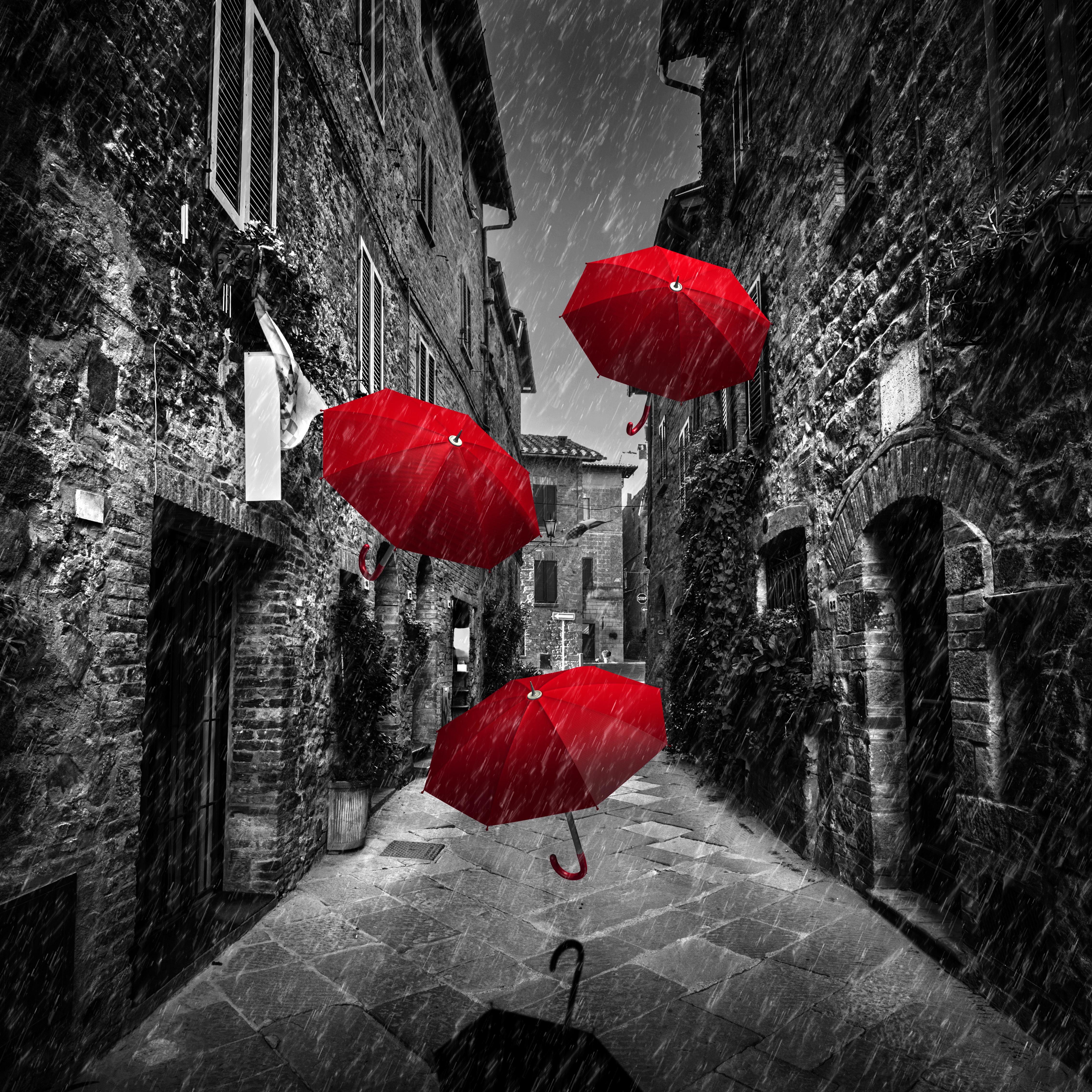 LONELY NITEZ artwork