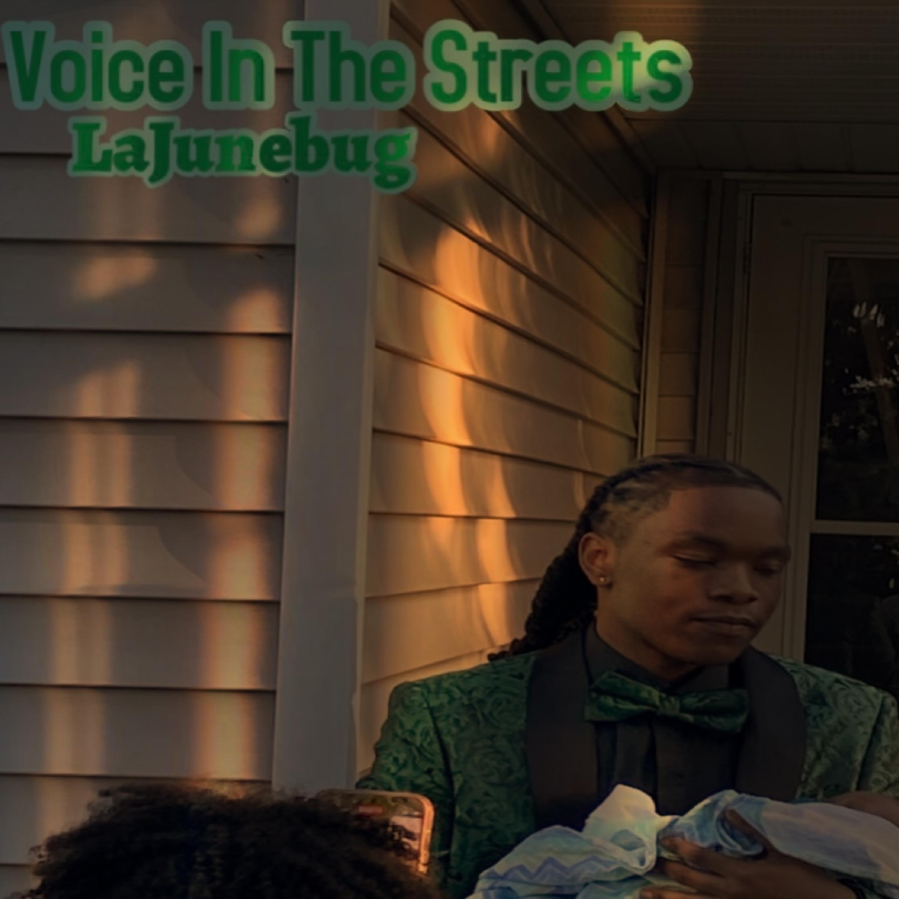 Voice in The Streets artwork