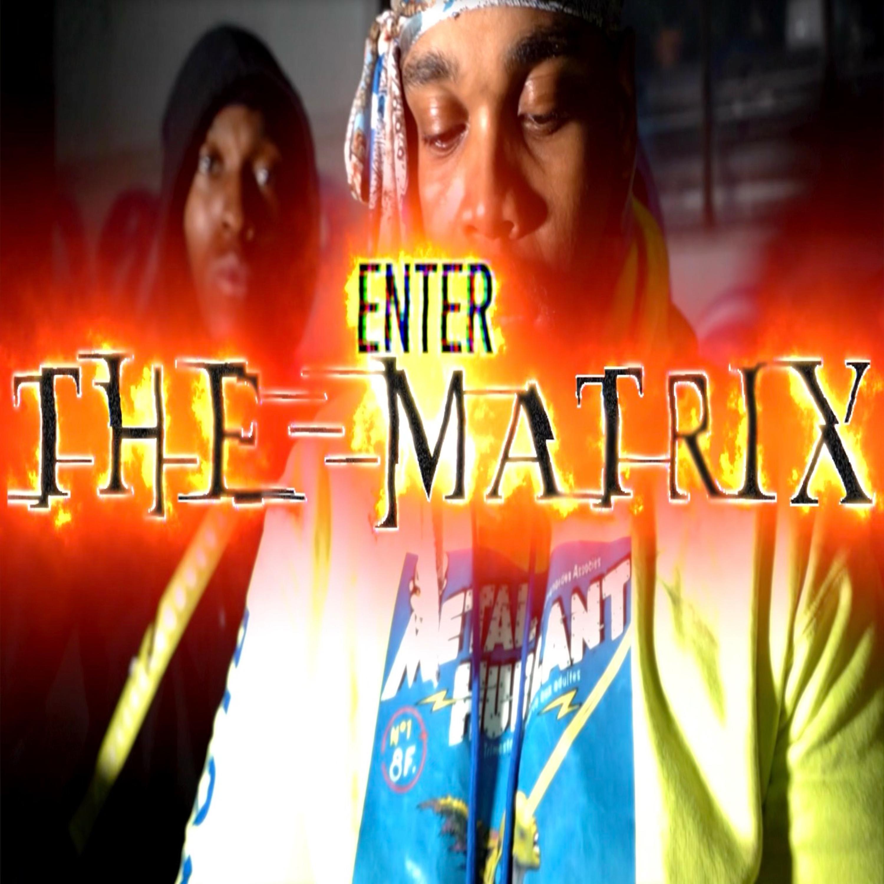 Enter The Matrix artwork