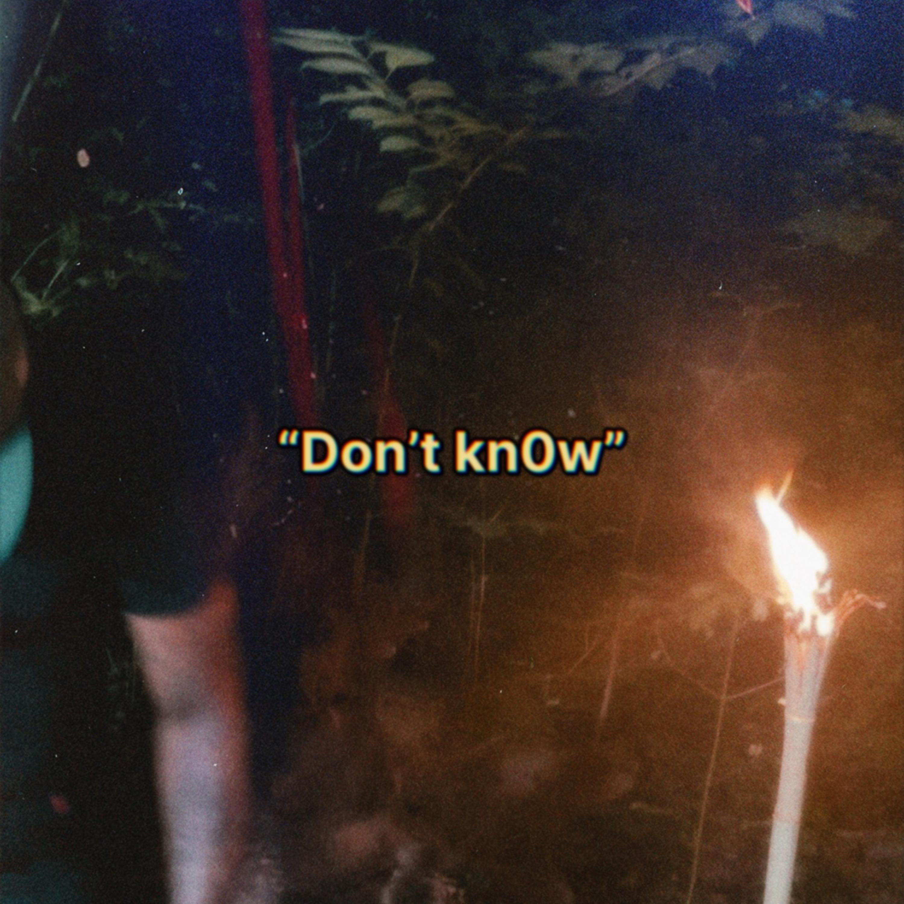 dont know by SaanByrd cover art