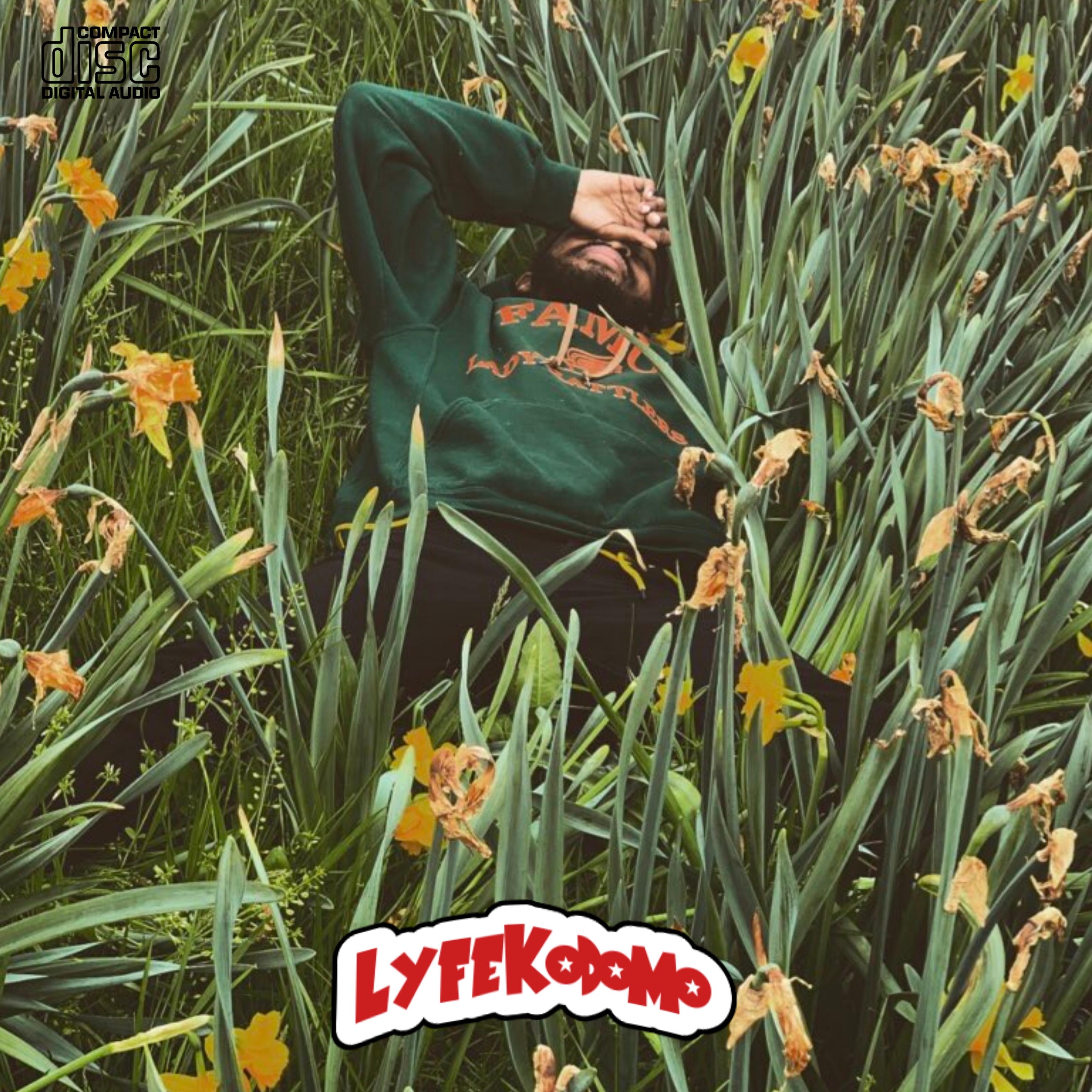 Luv Sik (Radio) artwork