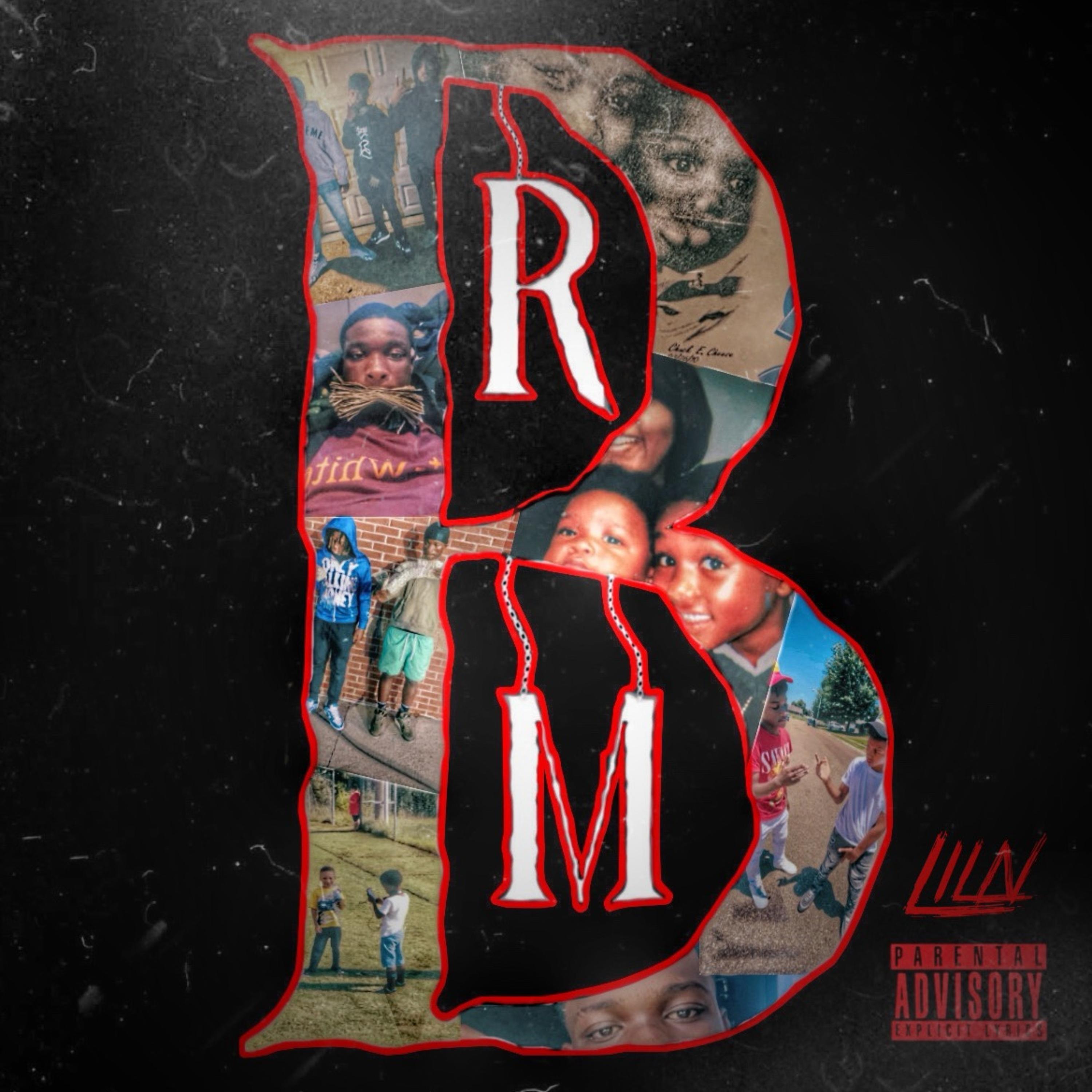 Rise Of B.R.M by liln cover art