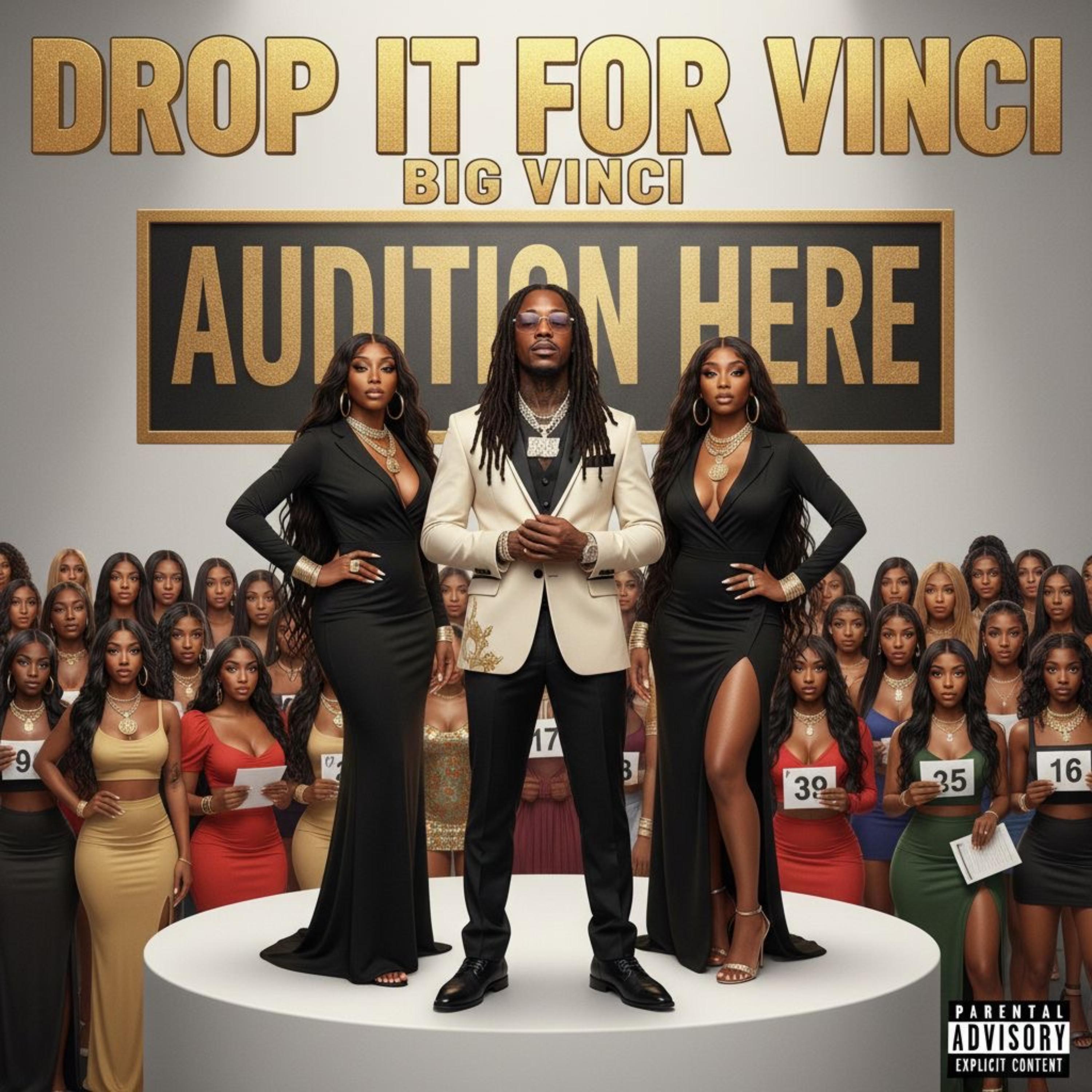 Drop It For Vinci artwork