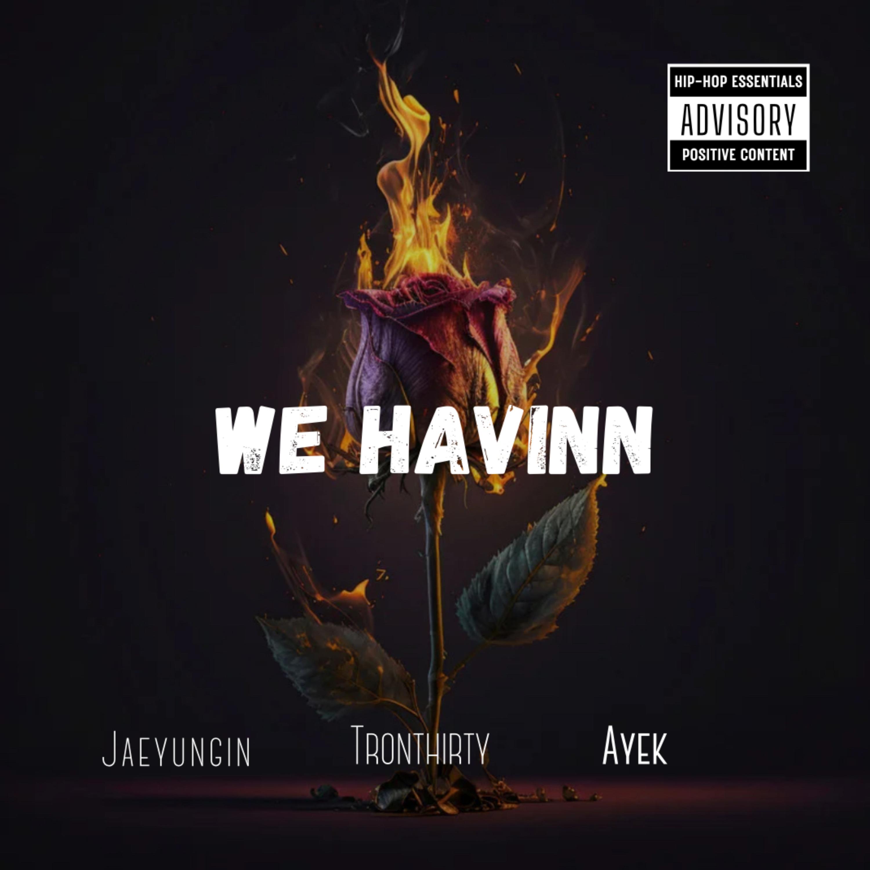 We Havinn artwork
