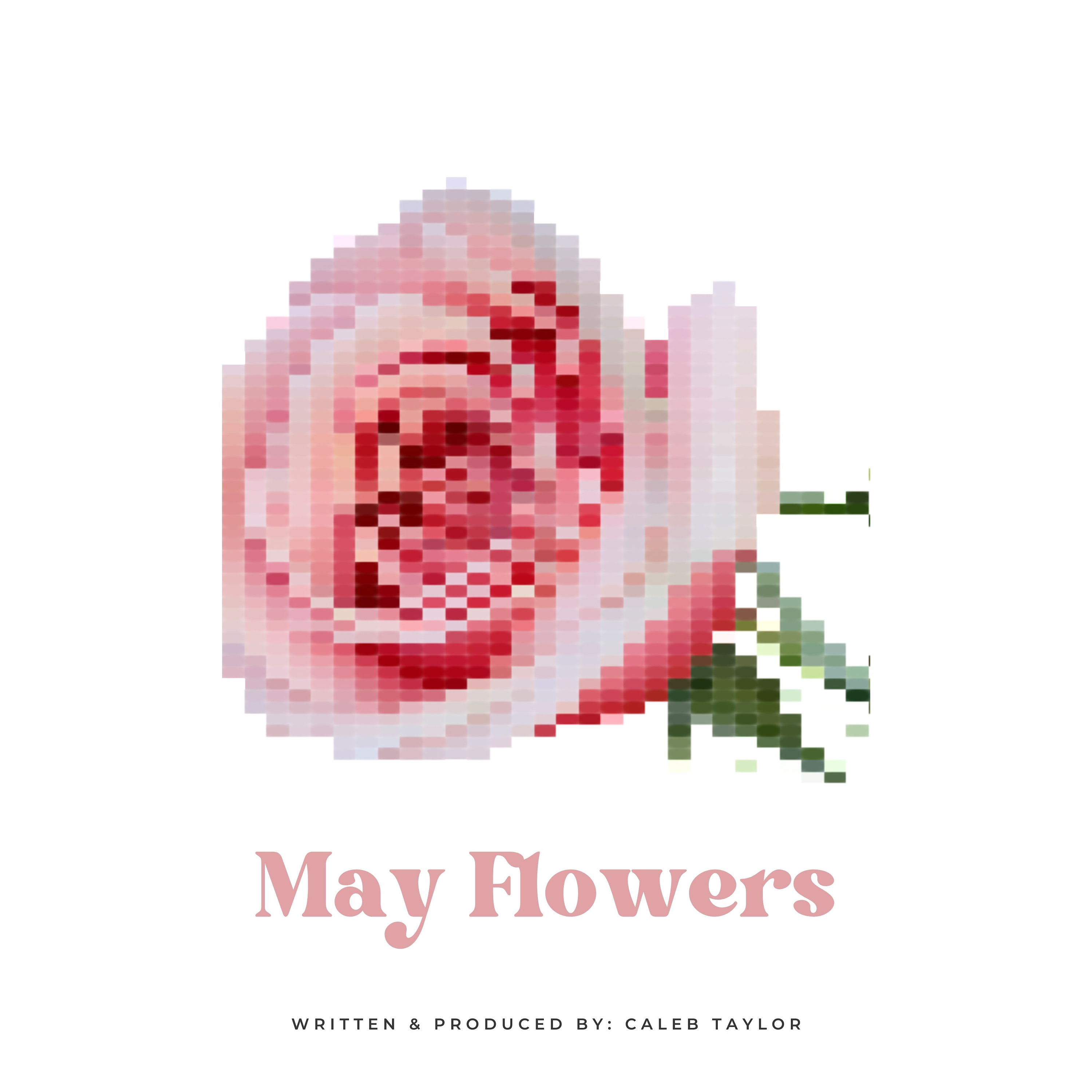 May Flowers artwork