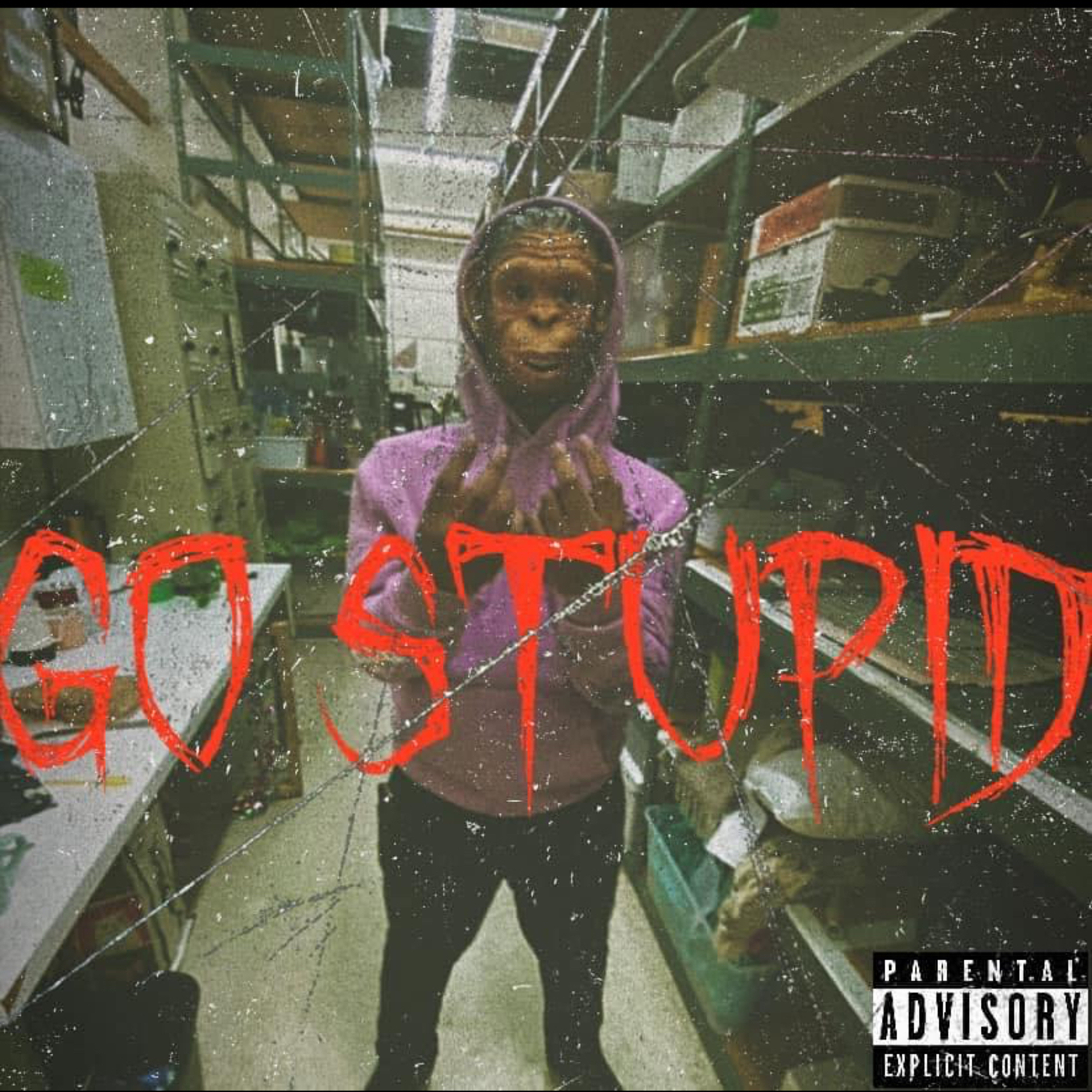 GO STUPID artwork