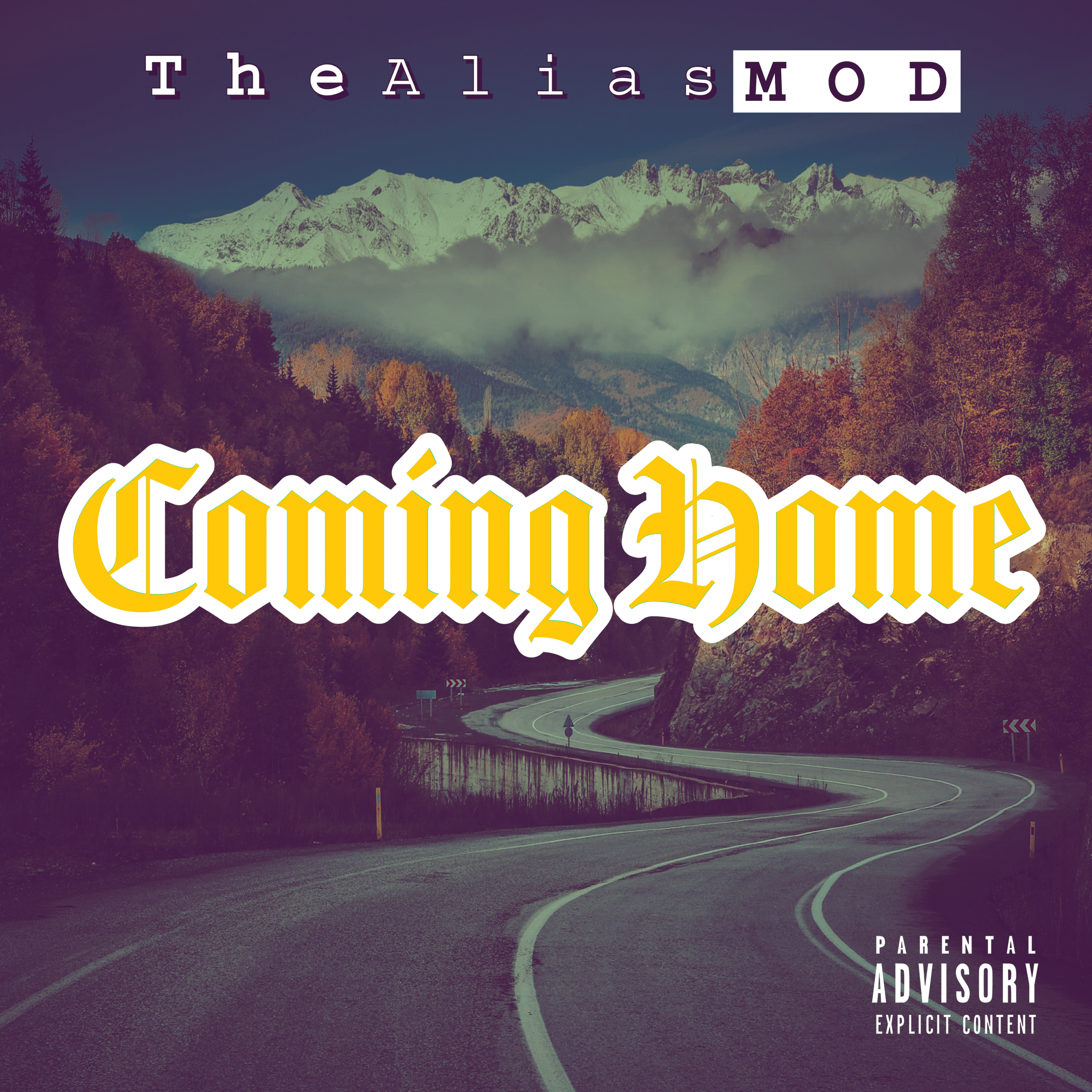 COMING HOME artwork