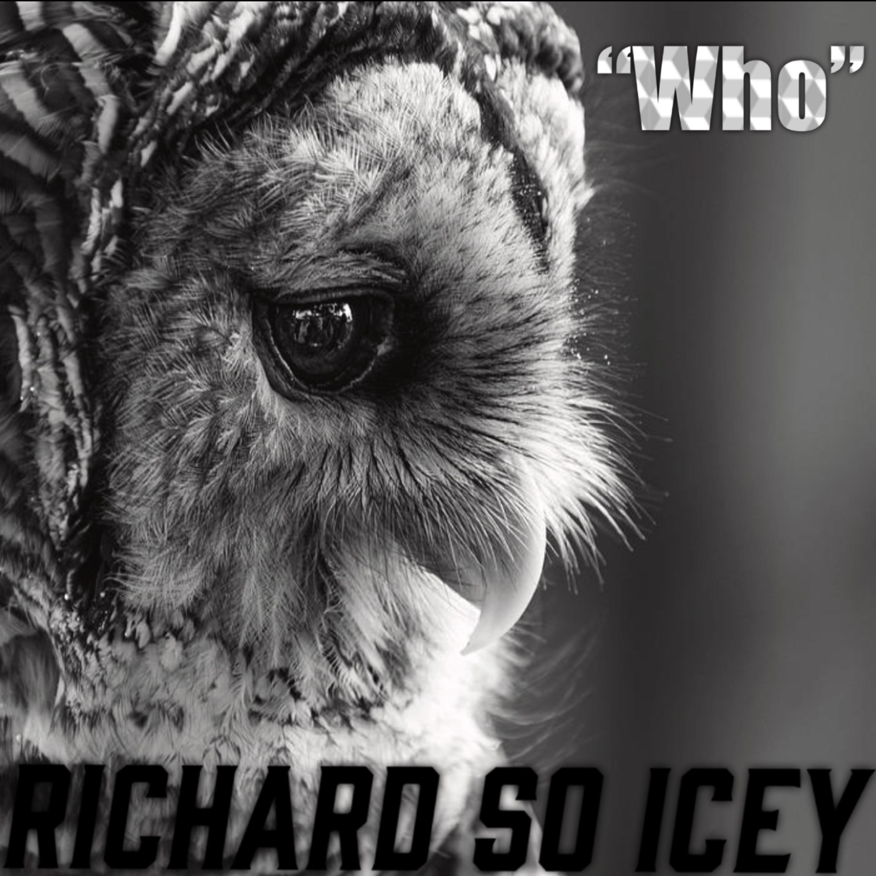 Who? artwork