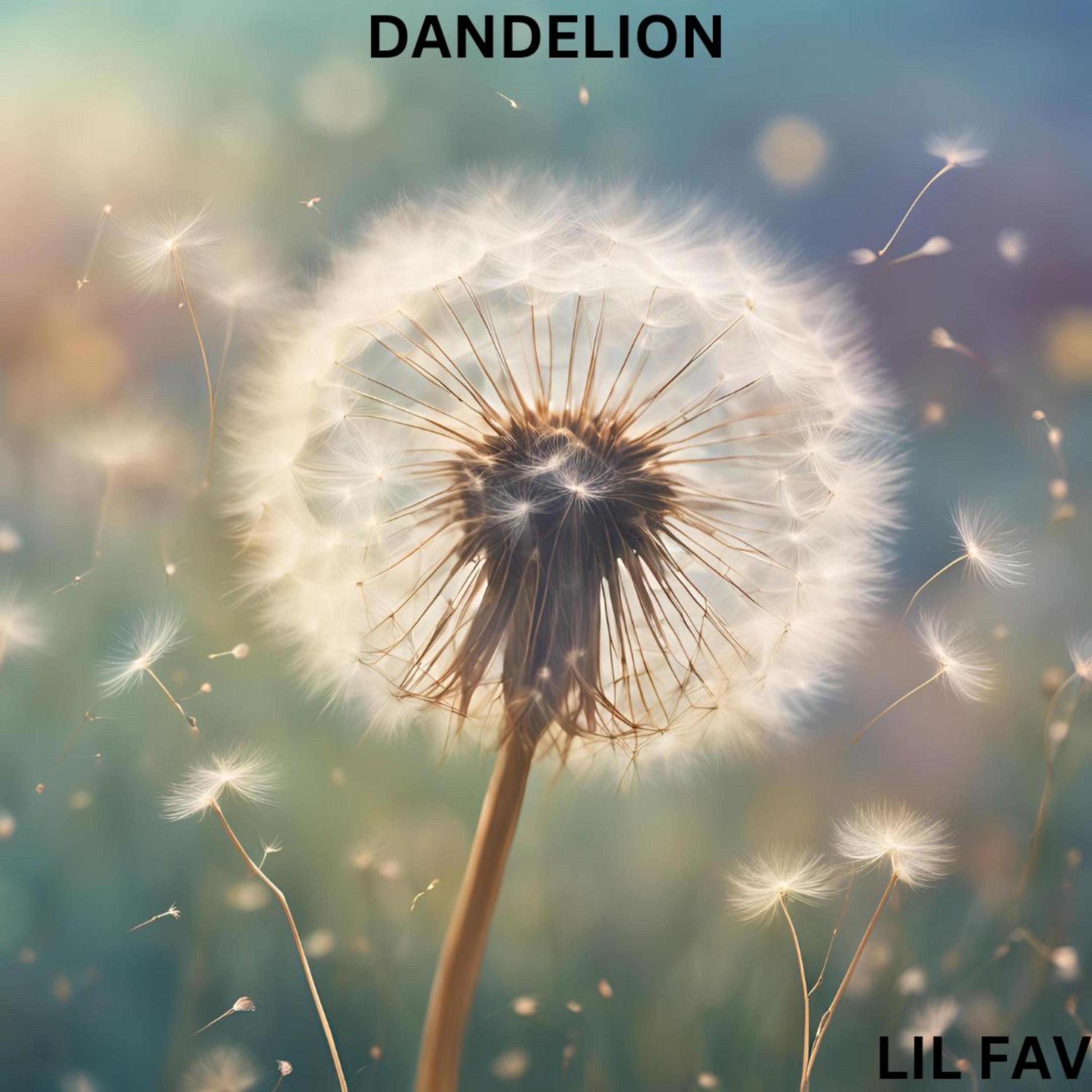 Dandelion artwork