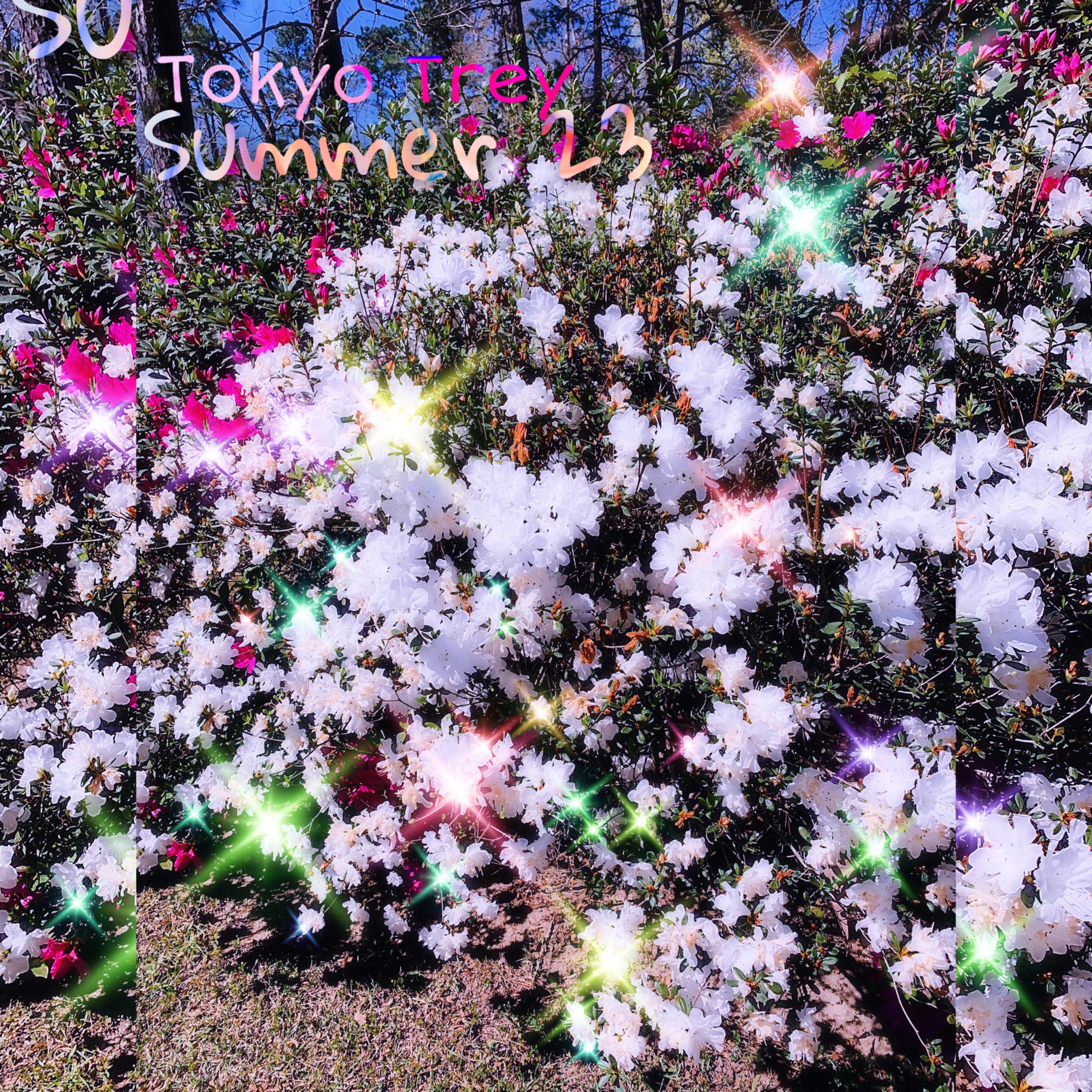 Summer 23 artwork