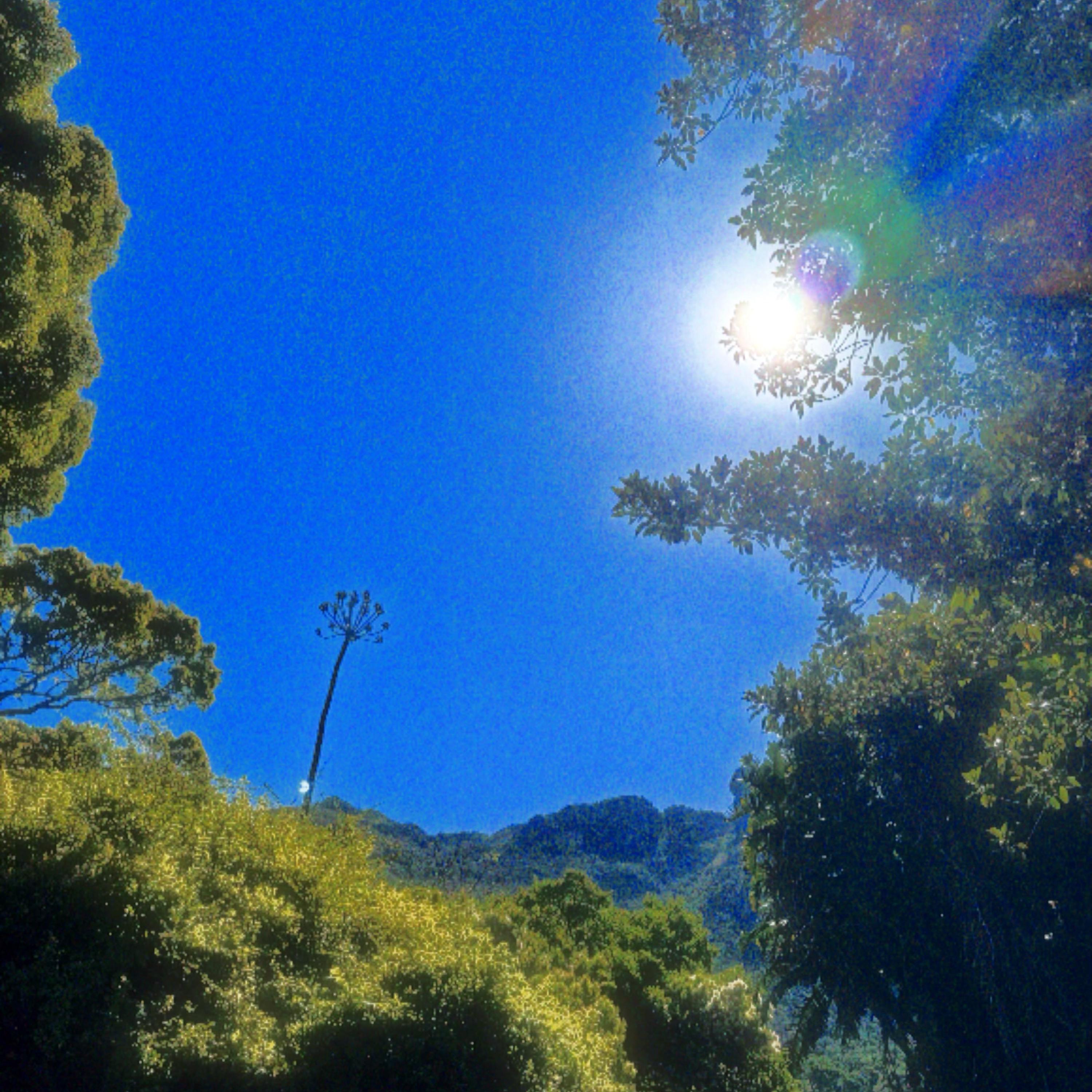 The Sun artwork